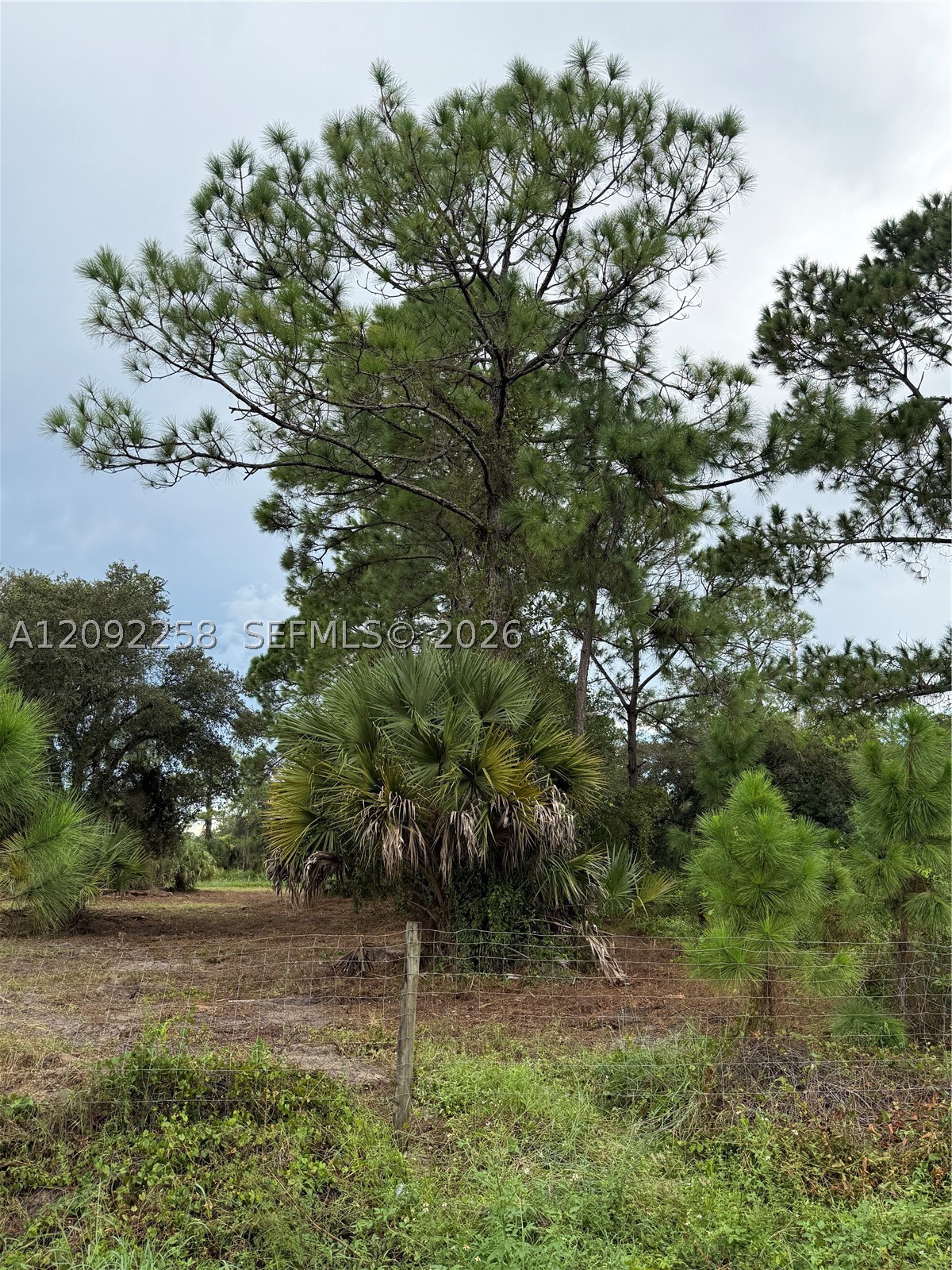 380 S Lindero St Property Photo 19