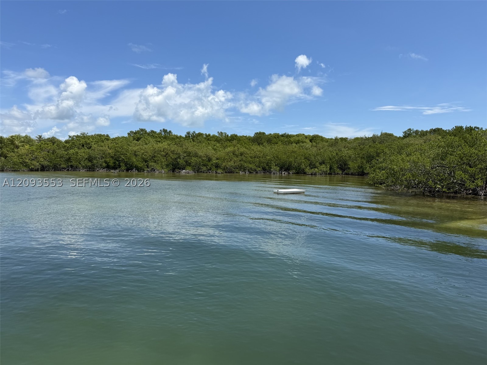 39 Gumbo Limbo Ave Property Photo 25