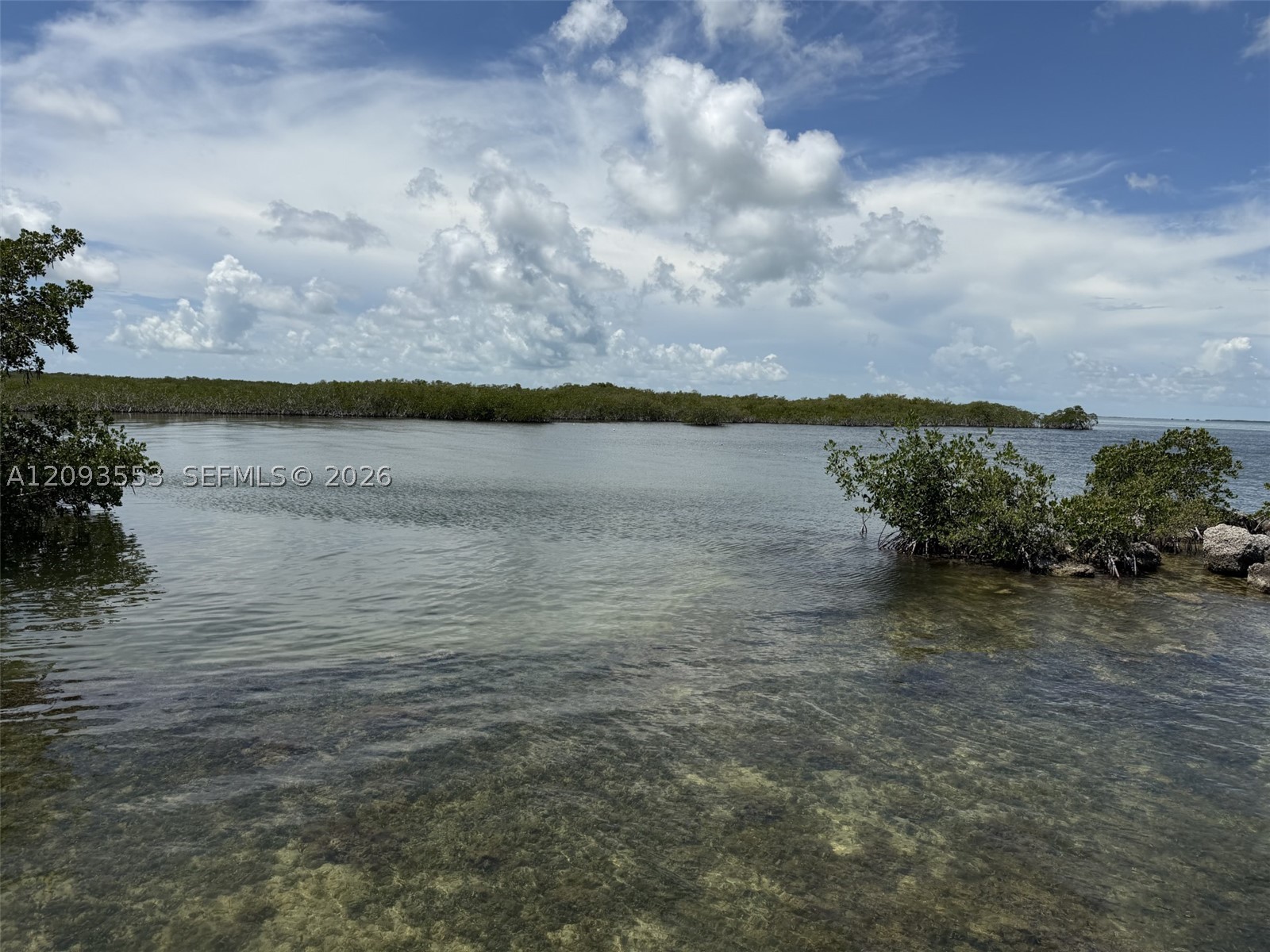 39 Gumbo Limbo Ave Property Photo 27