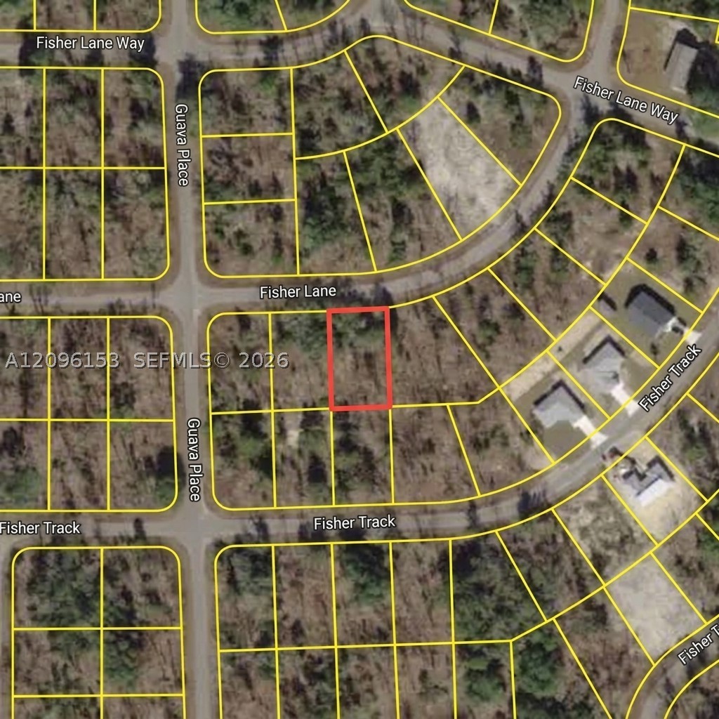 Fisher Ln Ocklawaha, Florida Property Photo 1