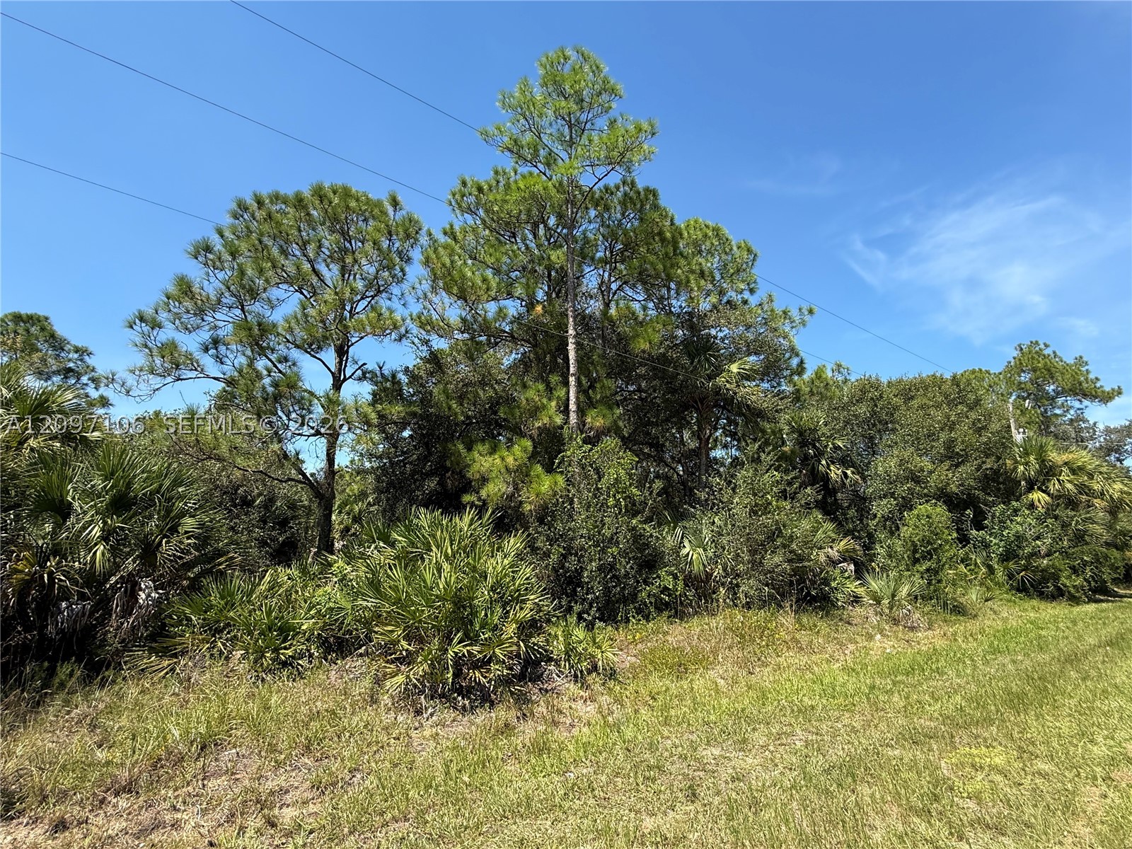 530 S Granja St Property Photo 1
