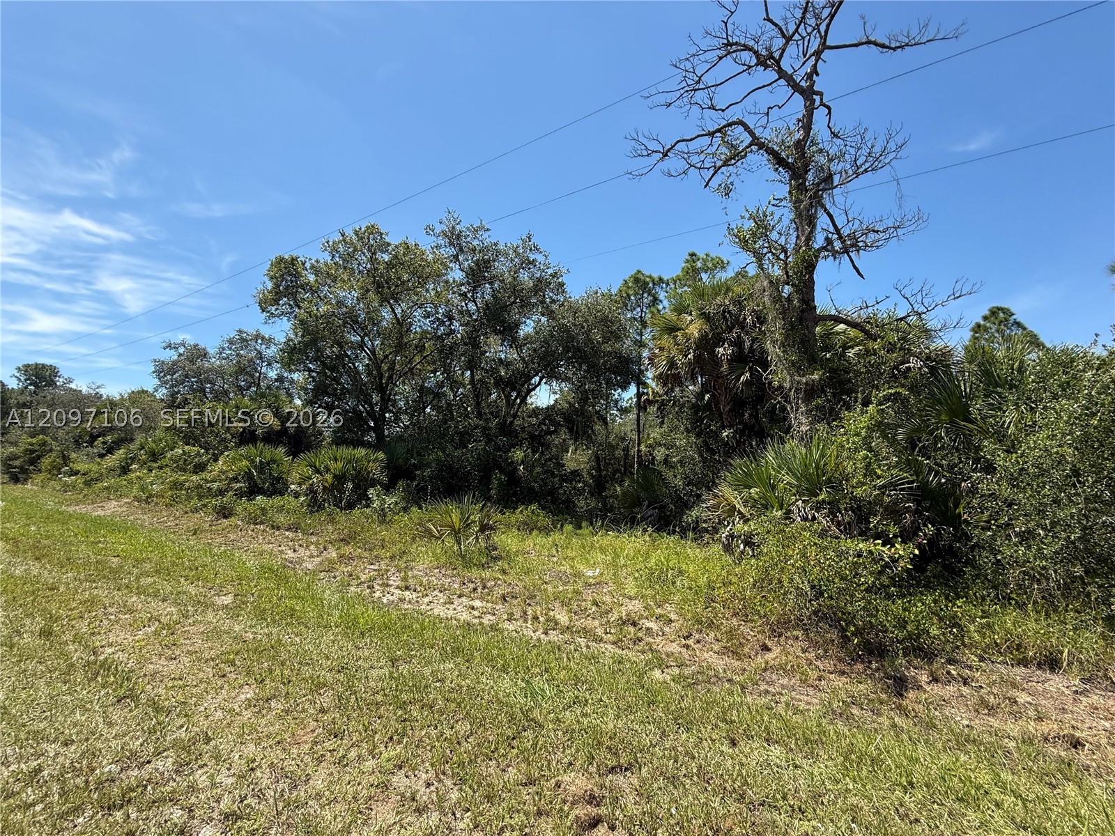 530 S Granja St Property Photo 3