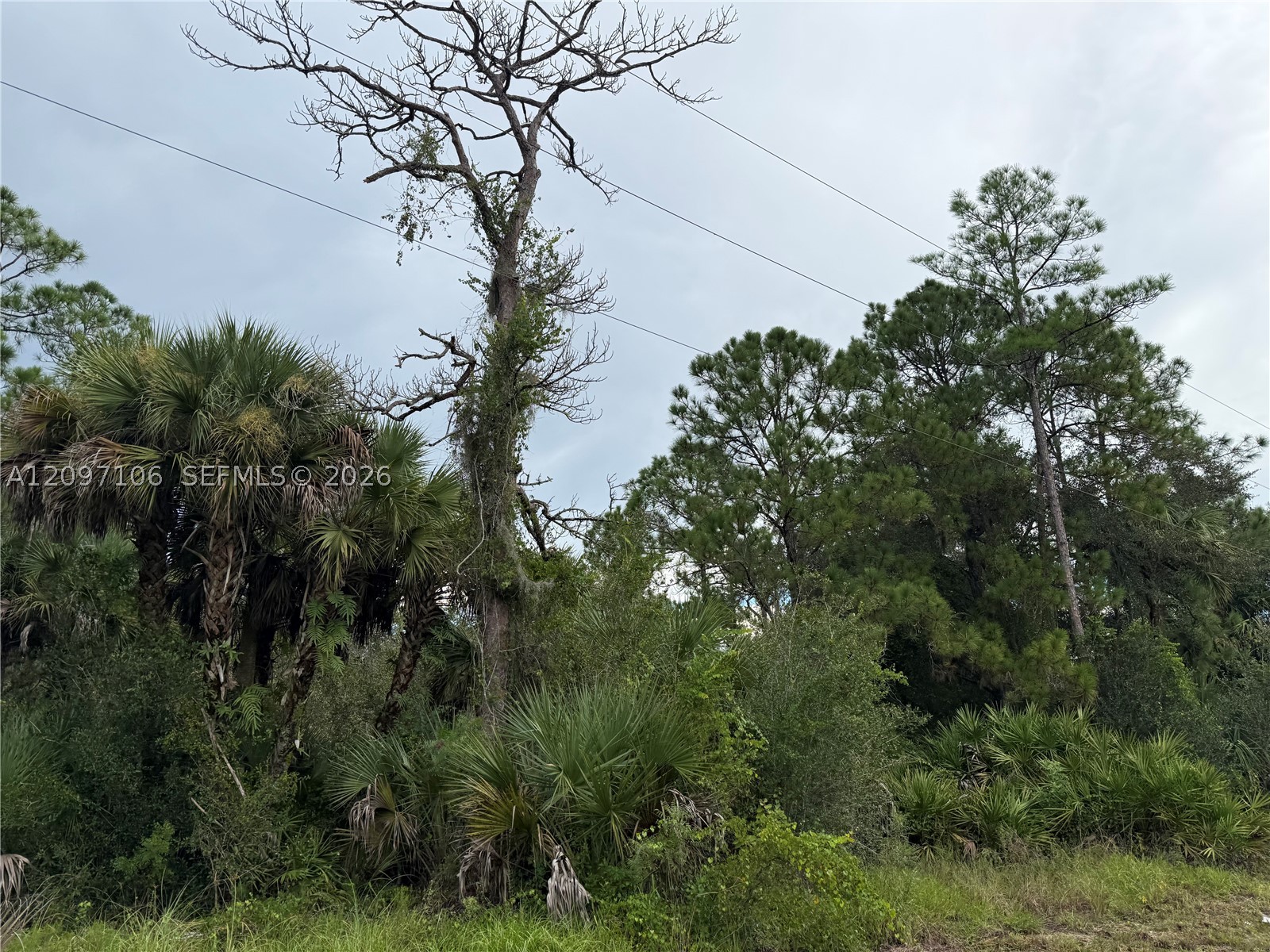 530 S Granja St Property Photo 8