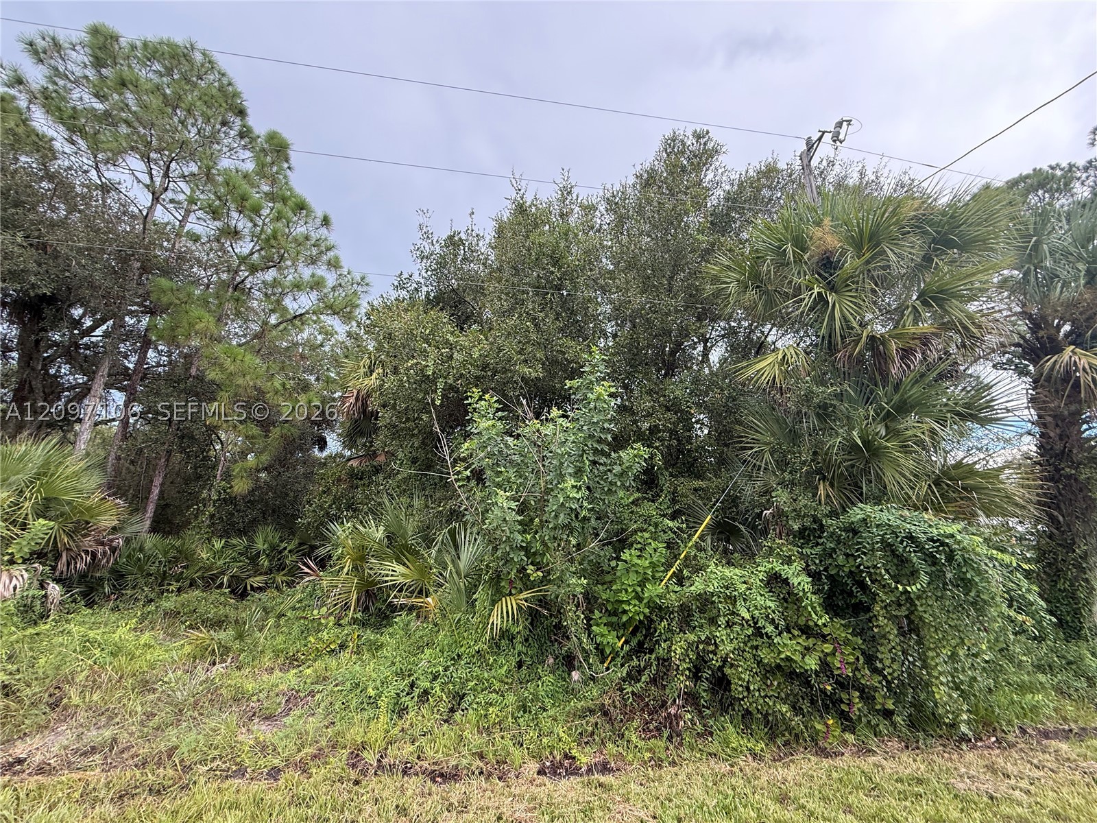 530 S Granja St Property Photo 13