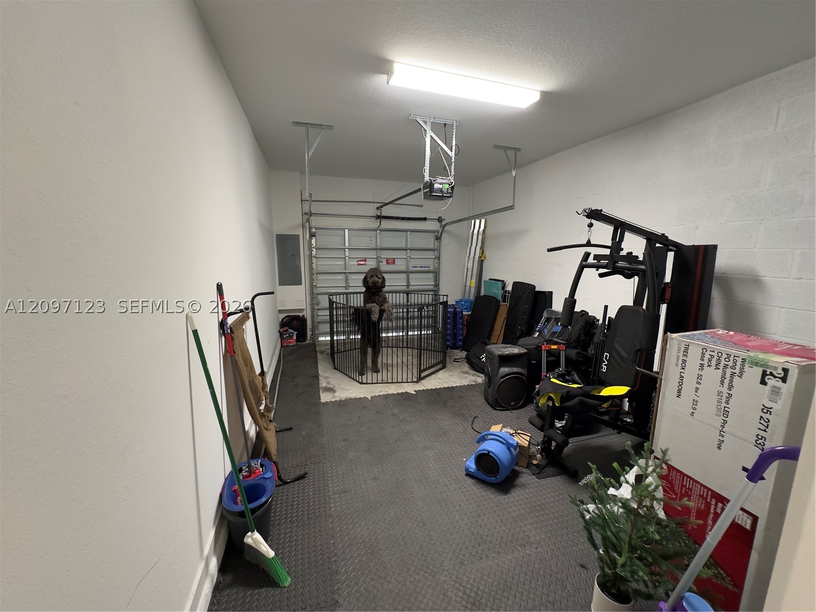 1842 Se 7th Ter 1842 Property Photo 25