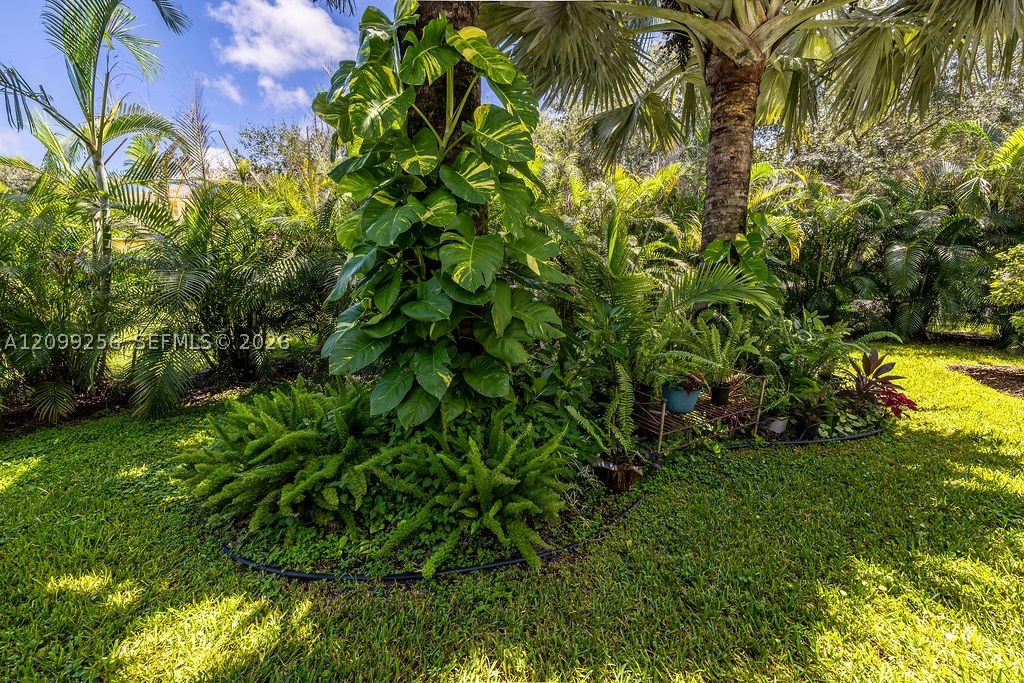 6116 57th Ct Property Photo 47