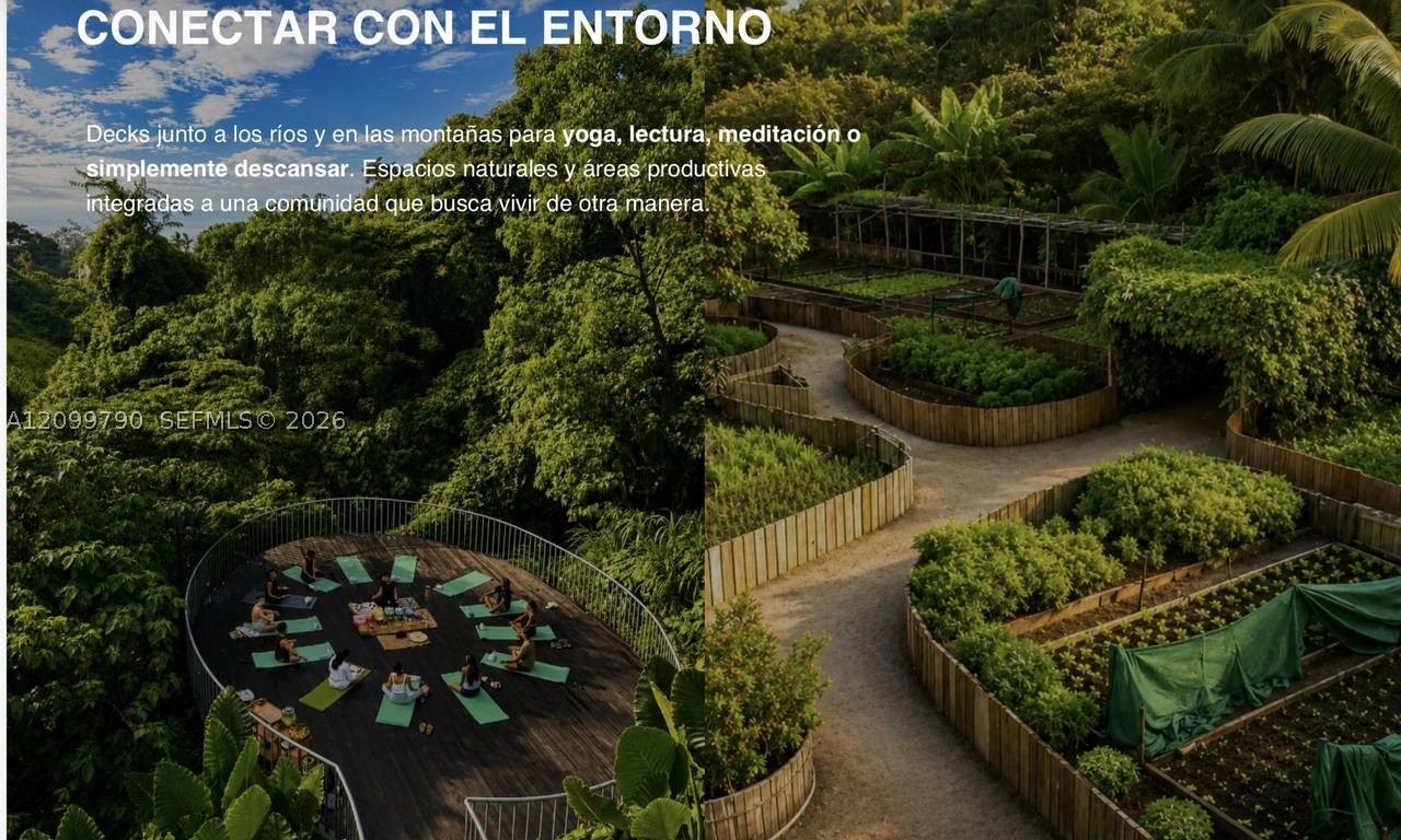 1 Avenida Barcelo Property Photo 8