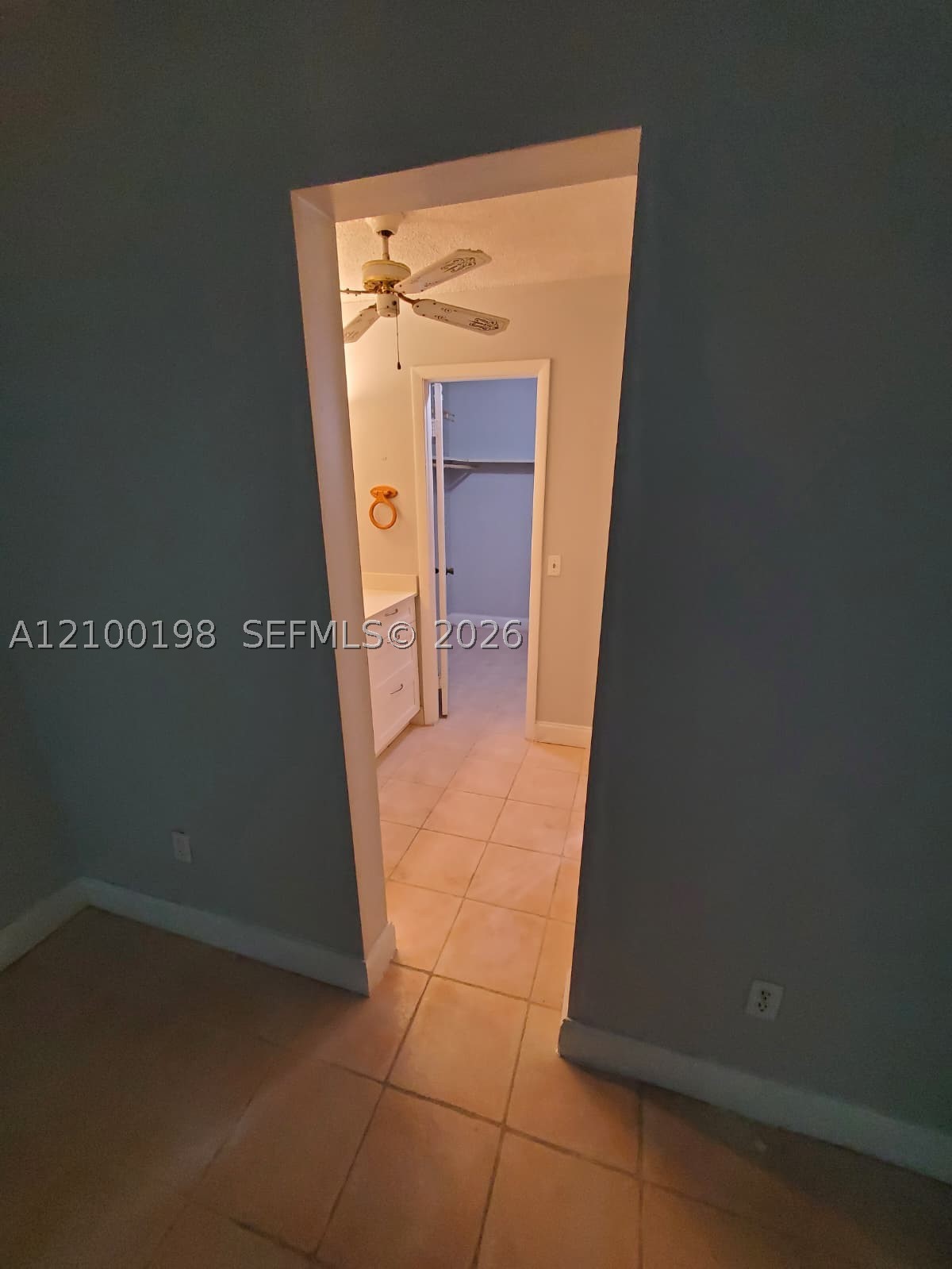A12100198 Property Photo 41