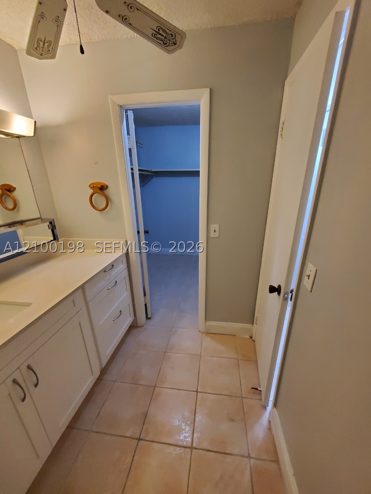 A12100198 Property Photo 43
