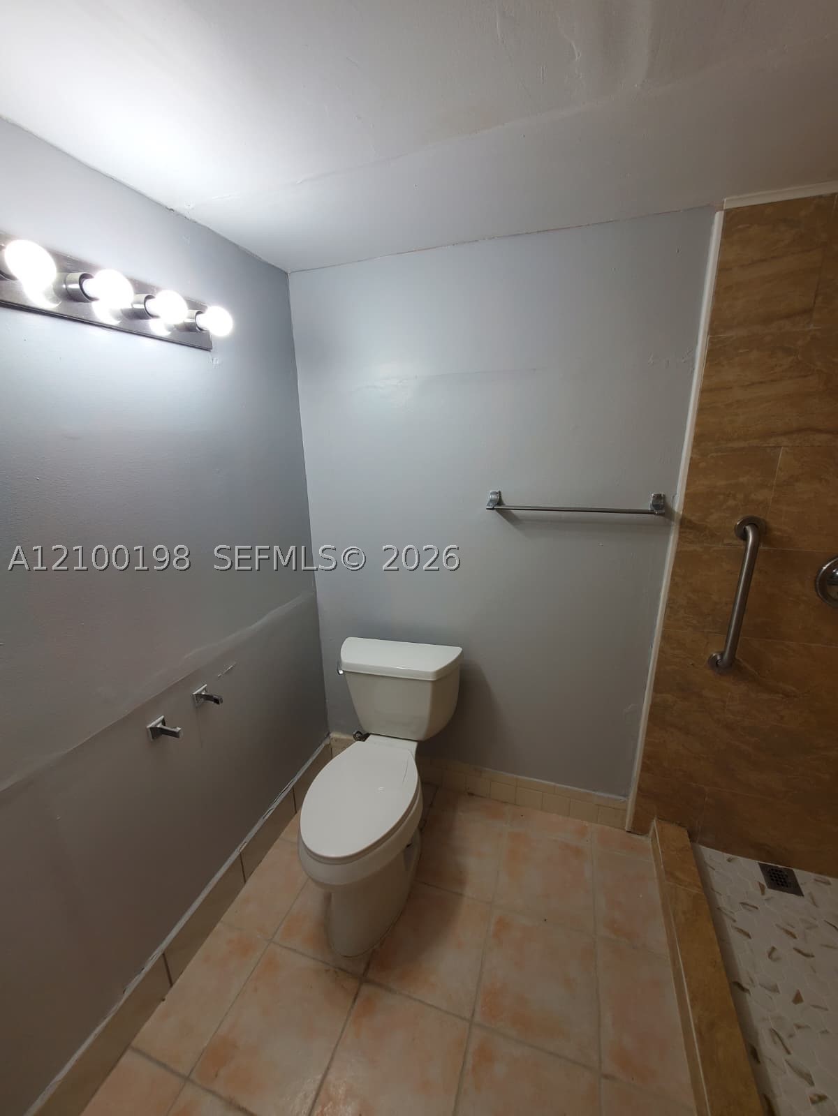 A12100198 Property Photo 46