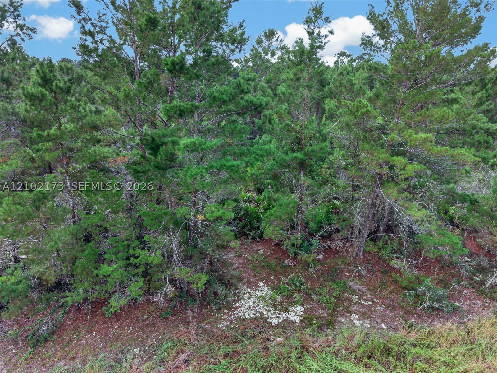 411 Scaup Ave Property Photo 9