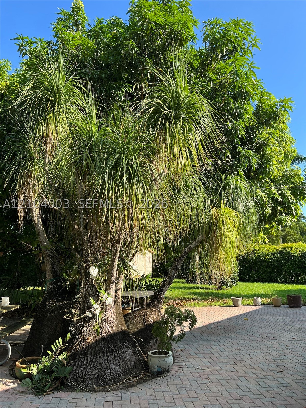 30221 Sw 172nd Ave Property Photo 80