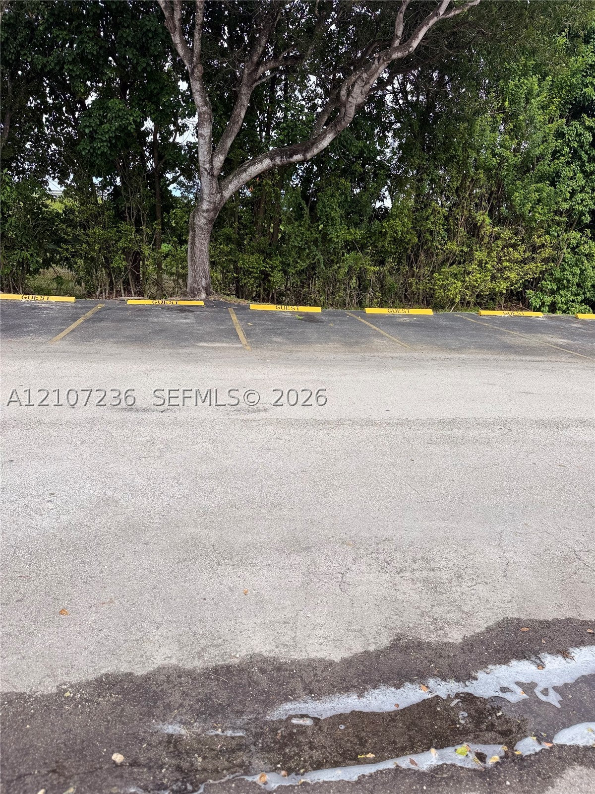 980 Constitution Dr 980c Property Photo 15