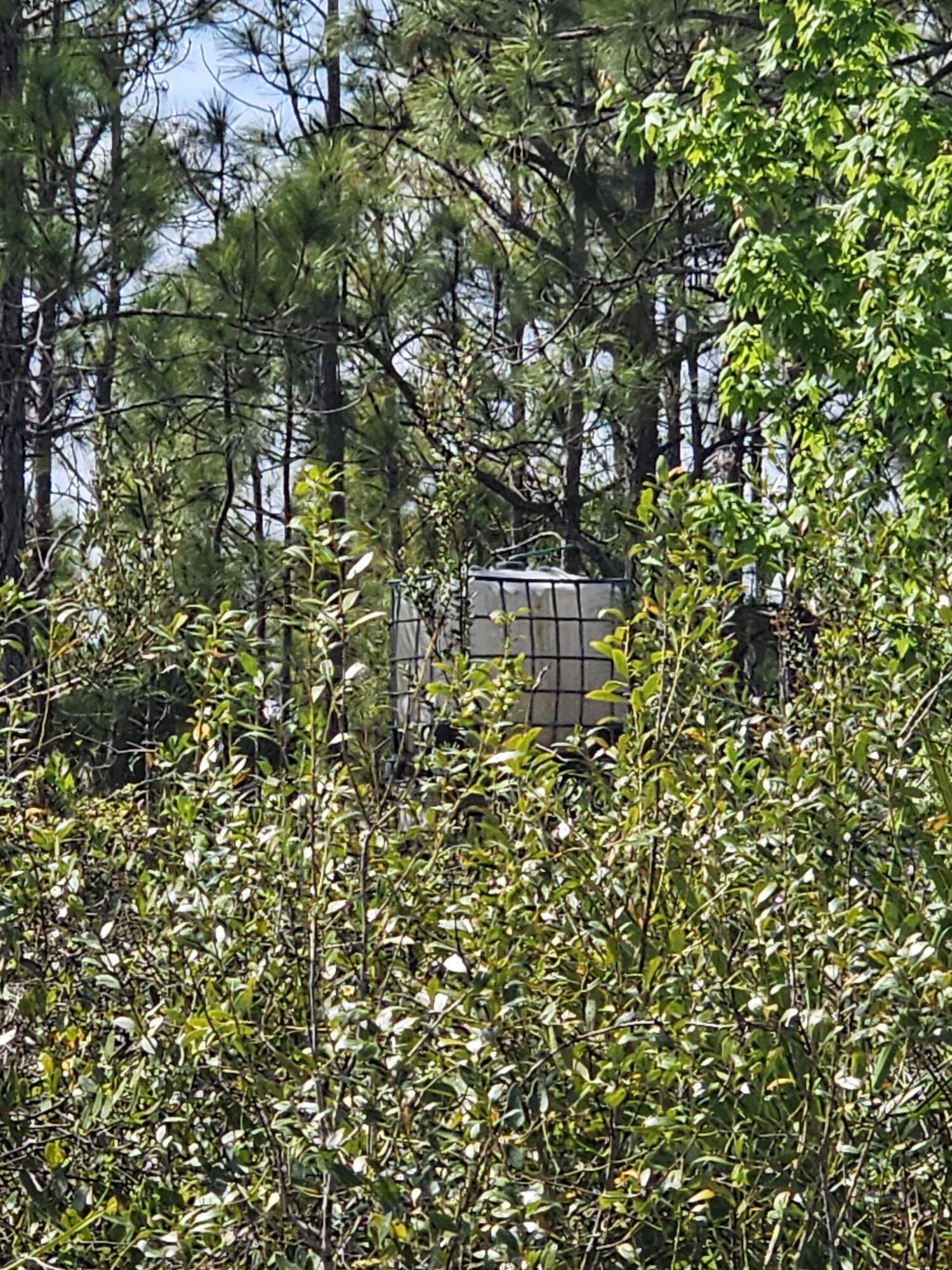 17720 Nw 268th Street Property Photo 6
