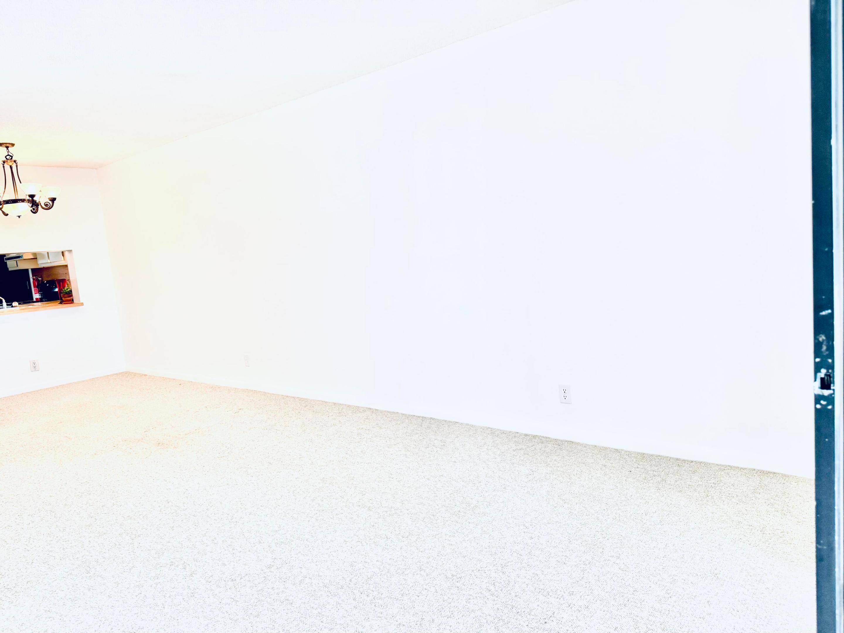112 Lake Emerald Drive 204 Property Photo 7