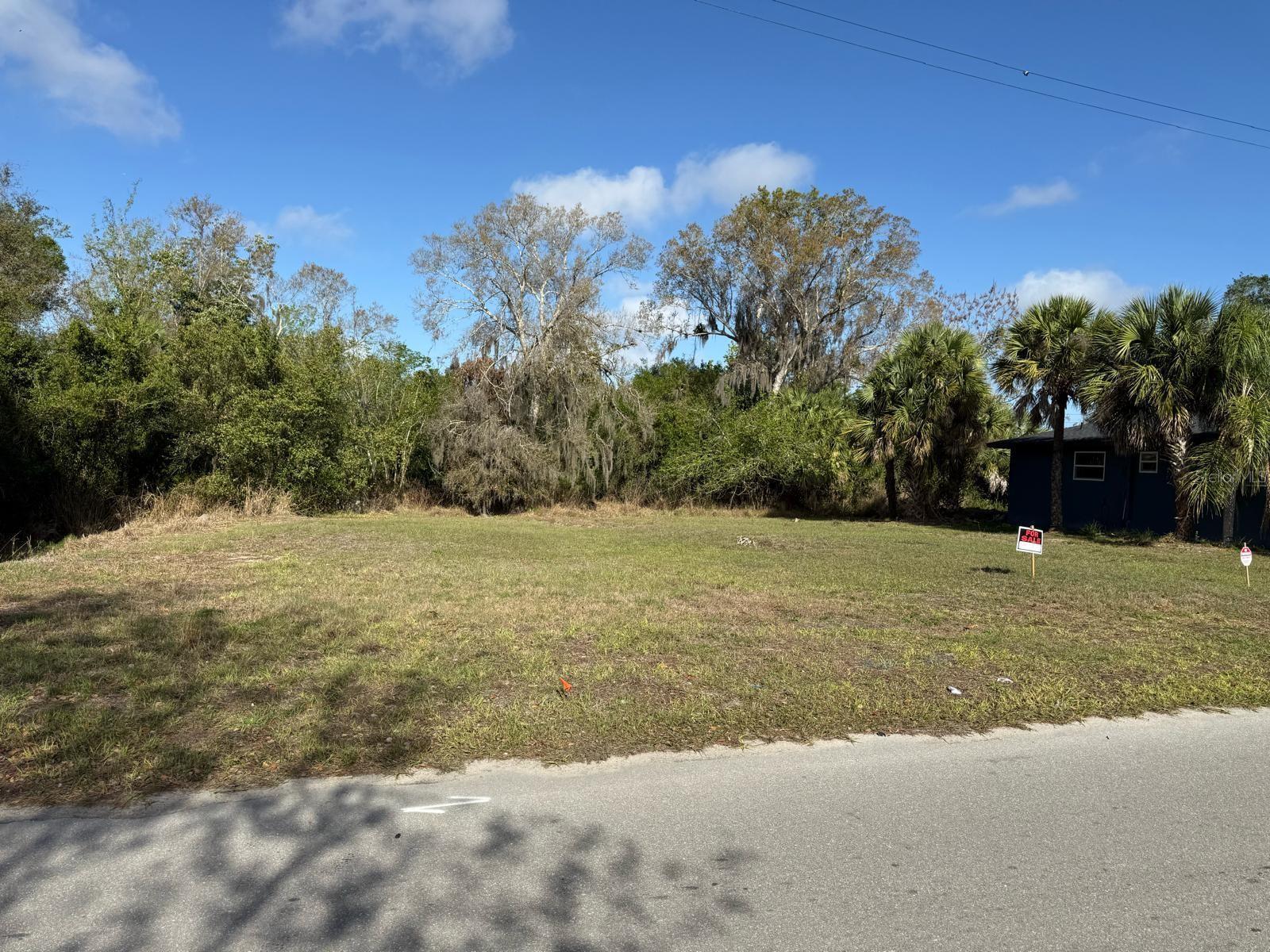 Xxxx Singleton Avenue Property Photo 5
