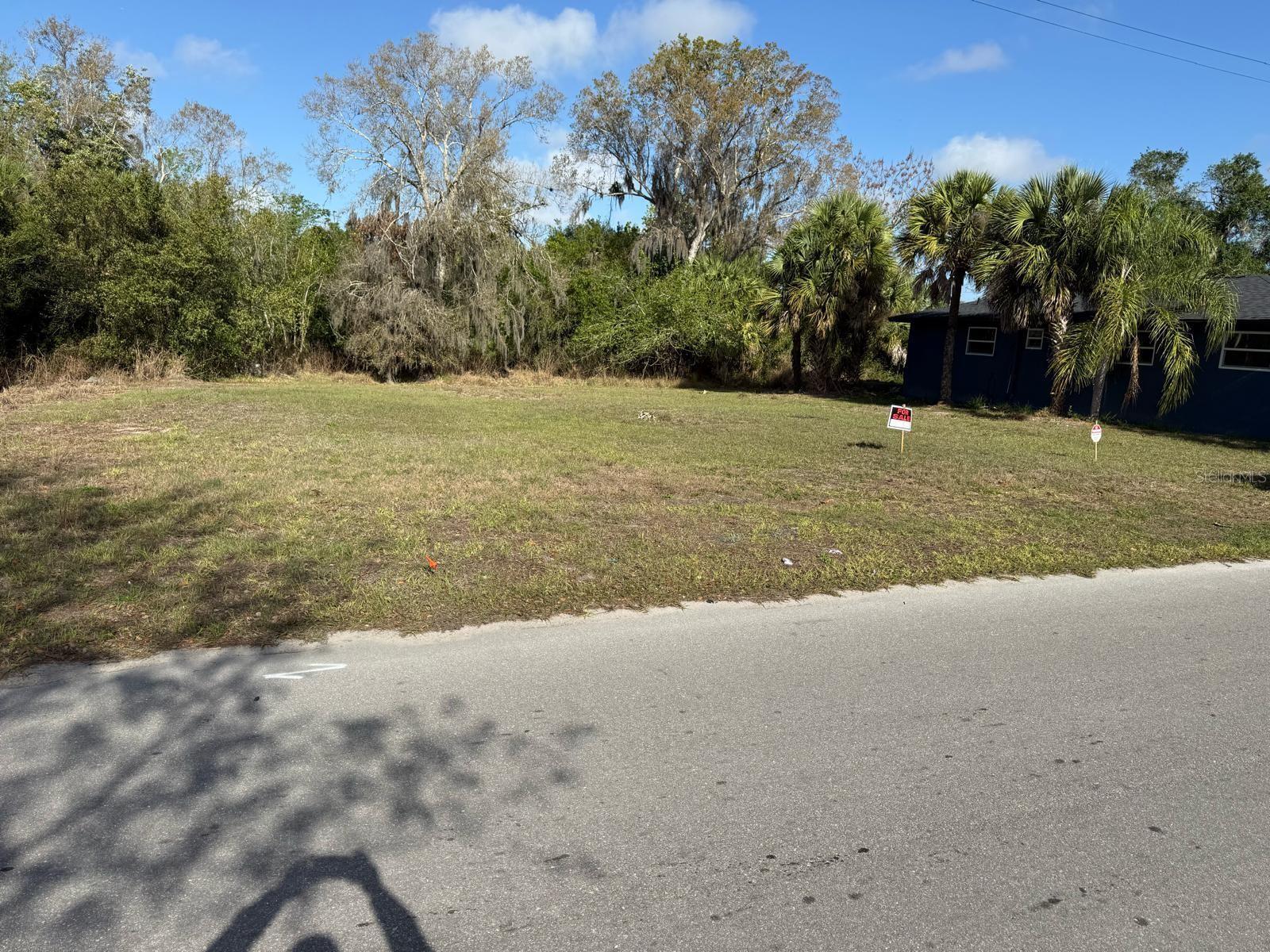 Xxxx Singleton Avenue Property Photo 6