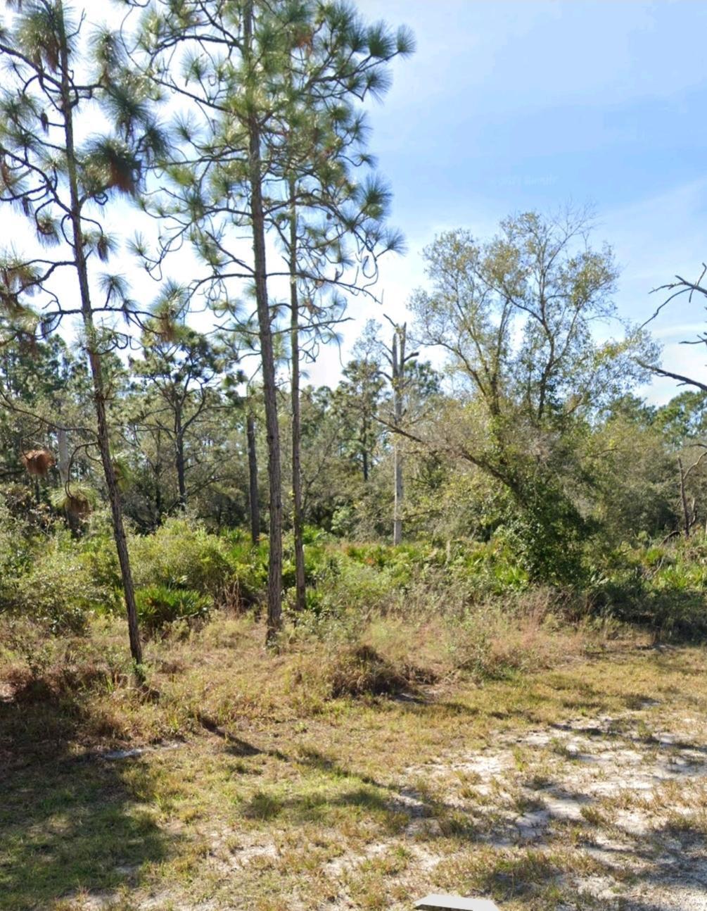 920 Gaillardia Drive Property Photo 3