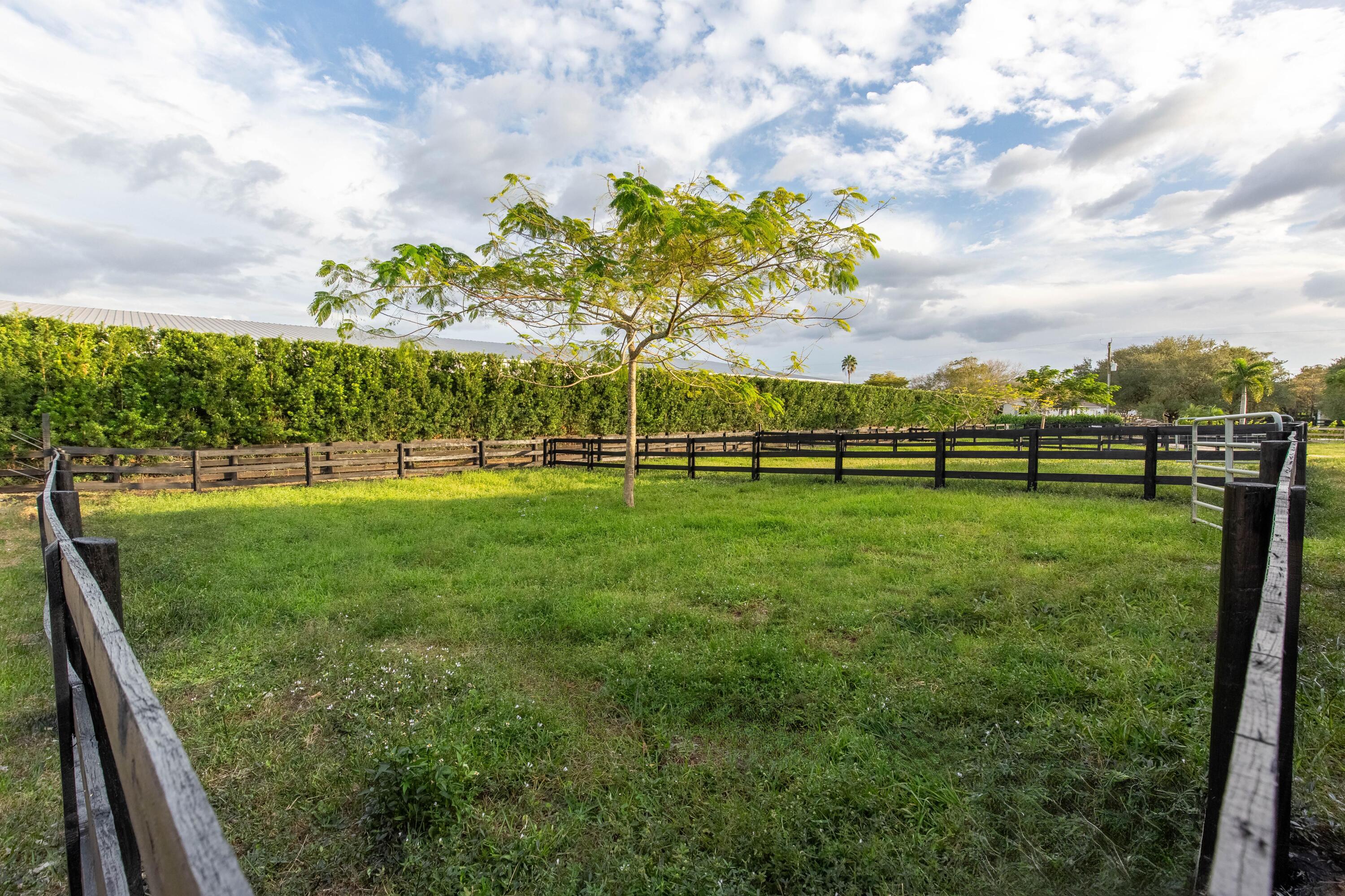 14367 Belmont Trace Property Photo 4