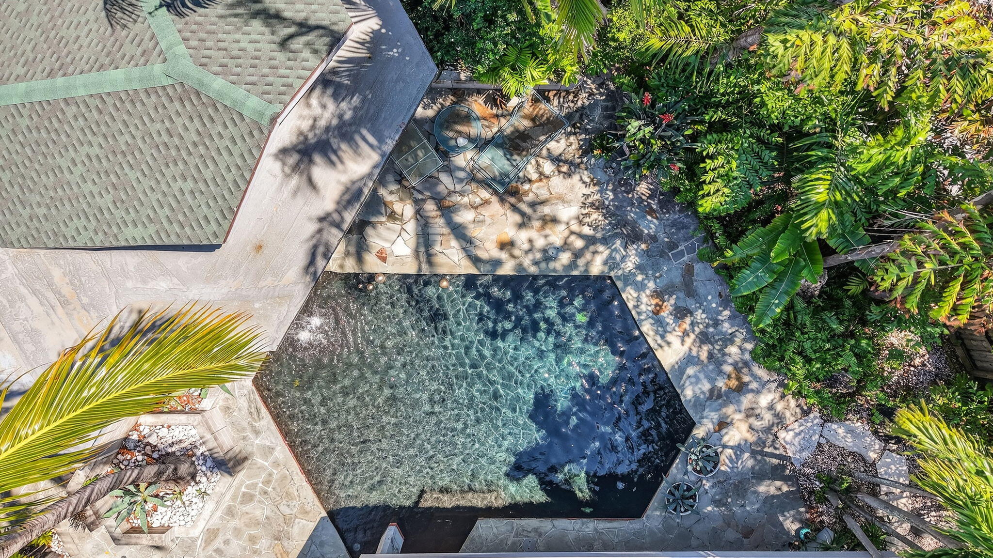2040 Coral Reef Drive Property Photo 45