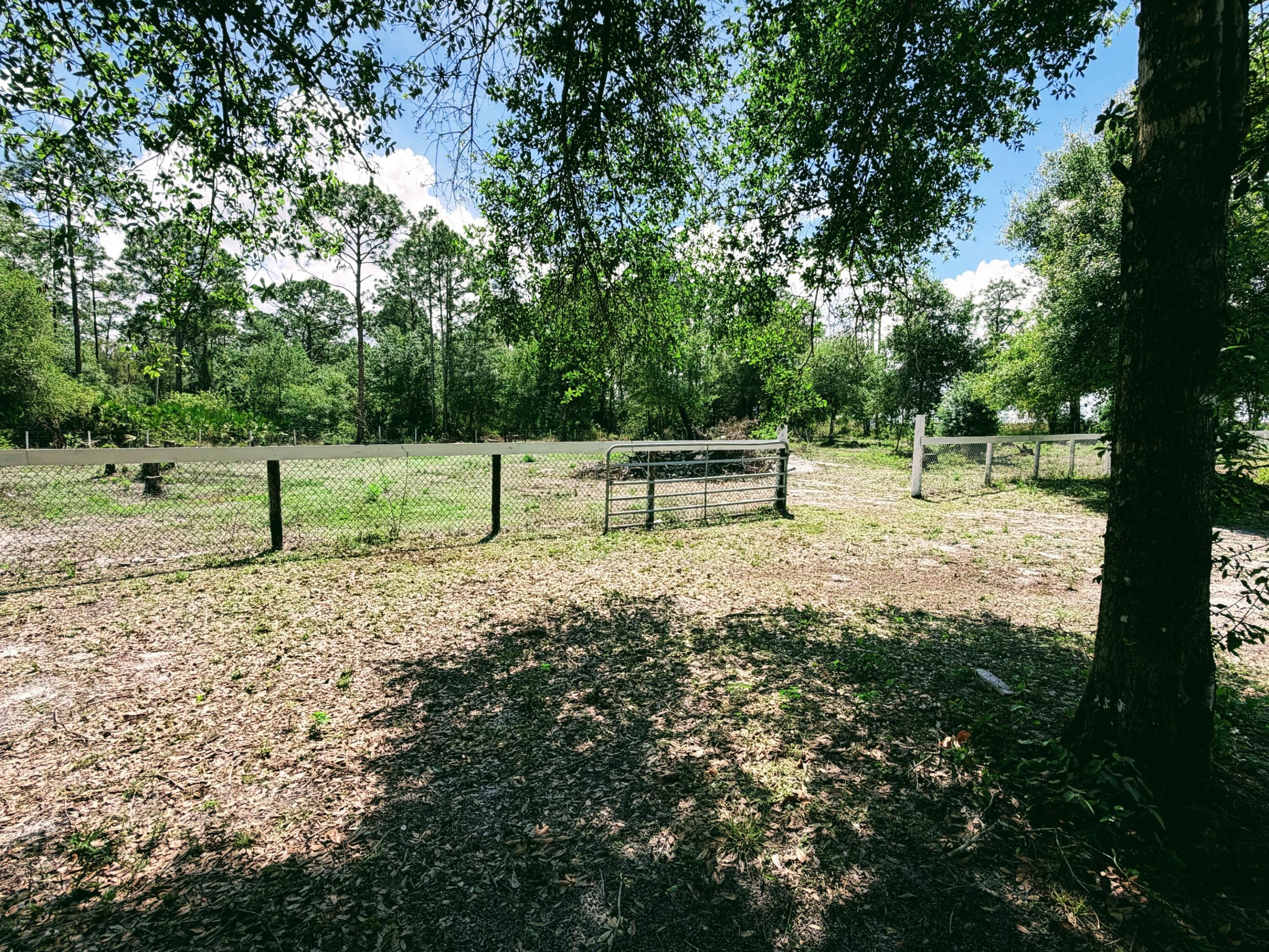 1101 Yeehaw Avenue Property Photo 14
