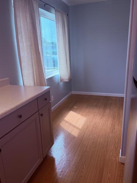 331 N Sheffield N 331 Property Photo 6