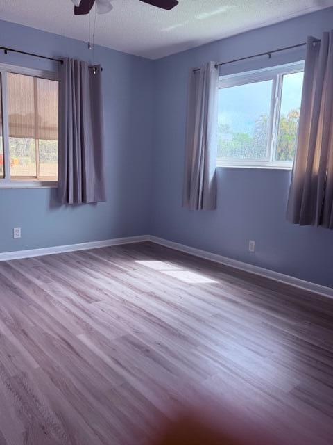 331 N Sheffield N 331 Property Photo 15