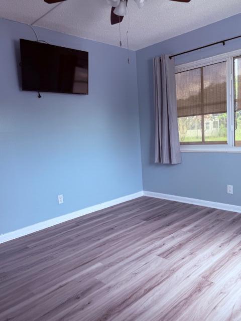 331 N Sheffield N 331 Property Photo 16