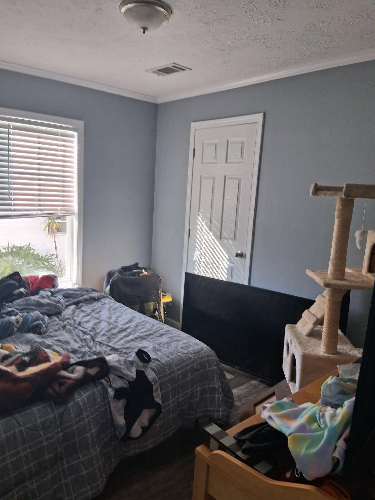 356 Mockingbird Avenue Property Photo 8