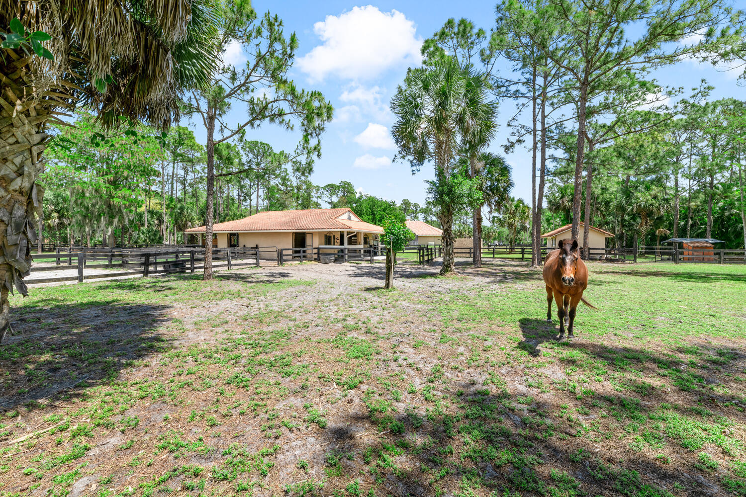 2559 Palm Deer Drive Property Photo 73
