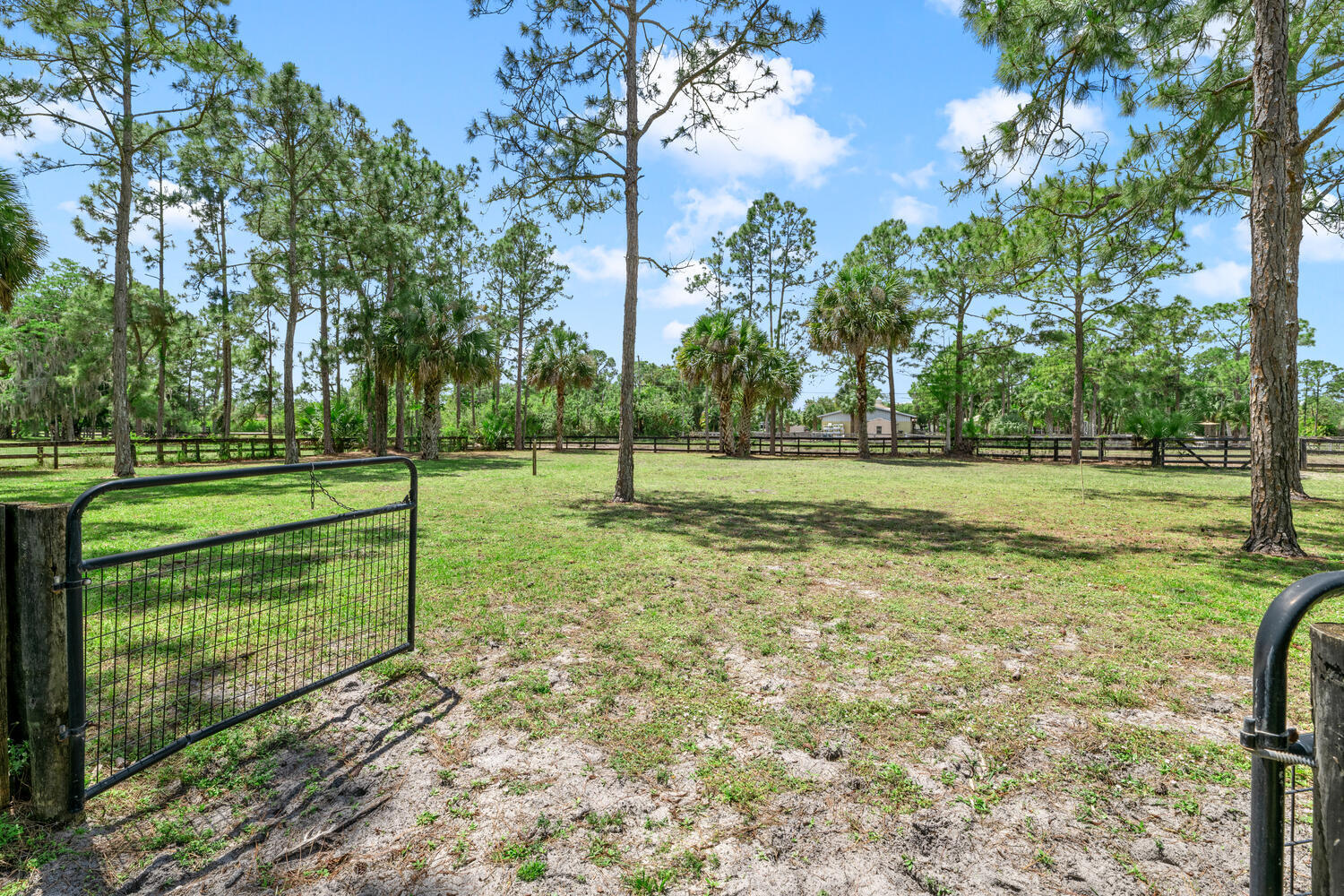 2559 Palm Deer Drive Property Photo 74