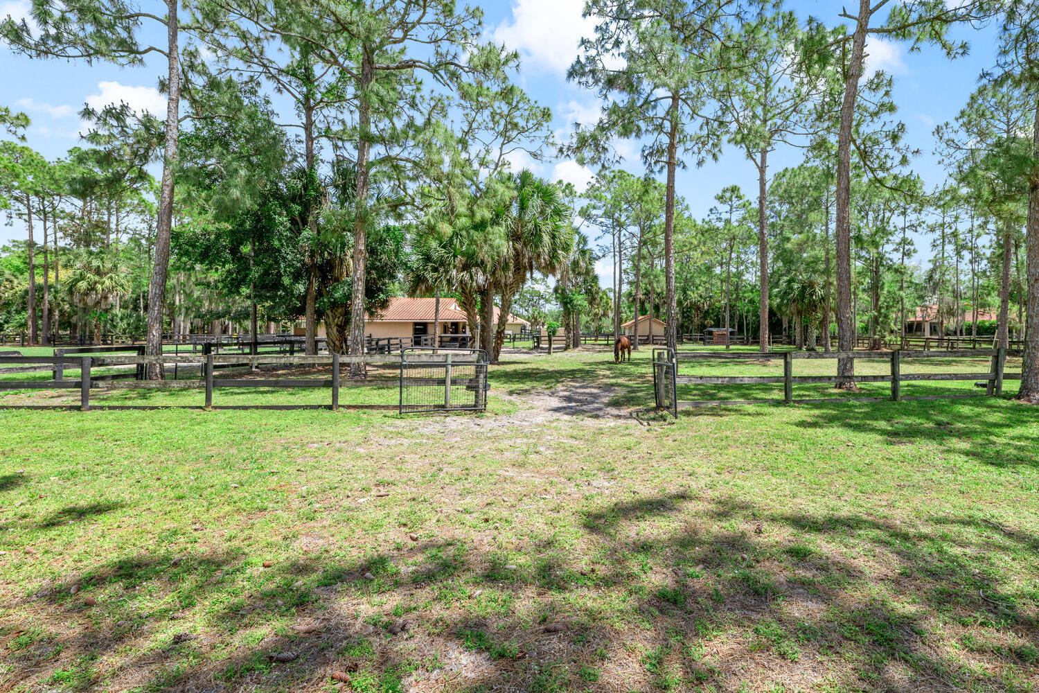 2559 Palm Deer Drive Property Photo 75