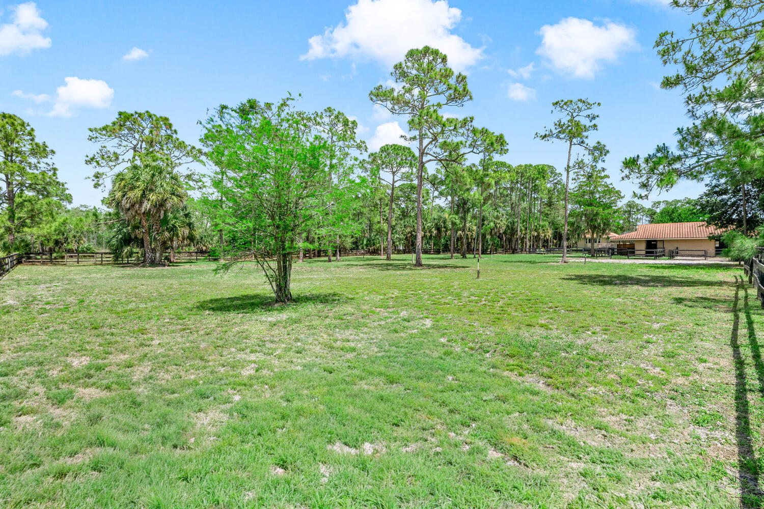 2559 Palm Deer Drive Property Photo 76