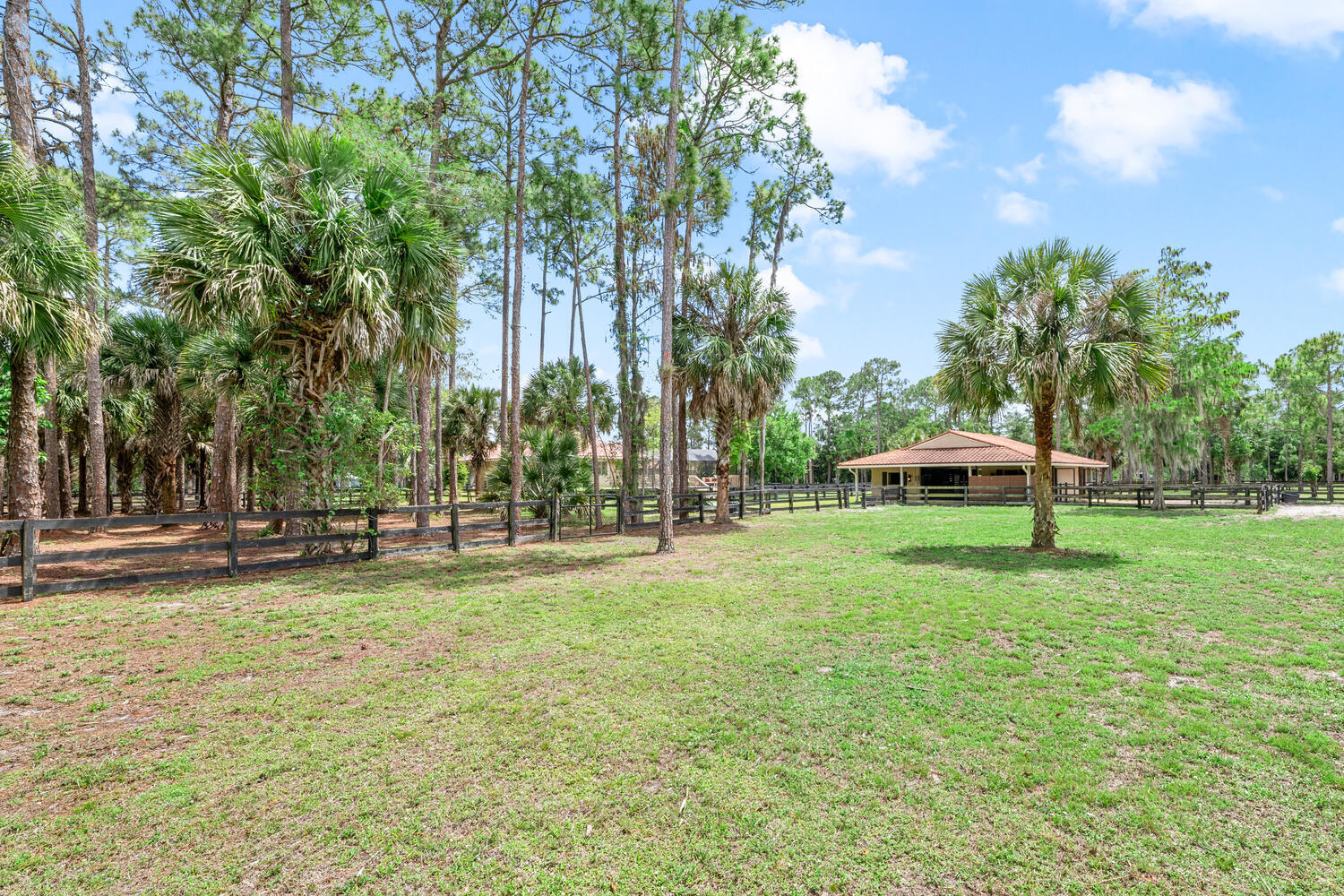 2559 Palm Deer Drive Property Photo 81
