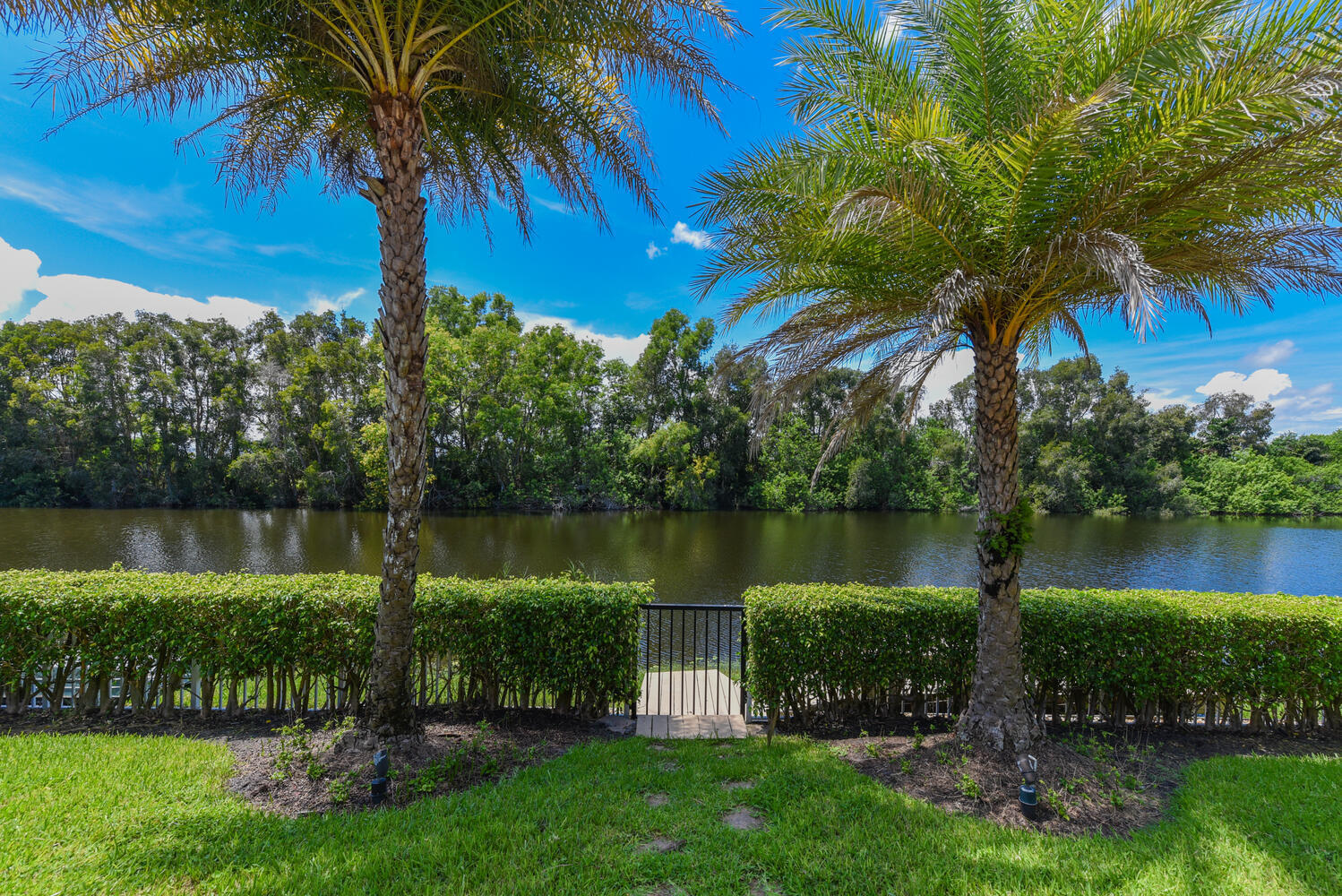 14284 Stroller Way Property Photo 36