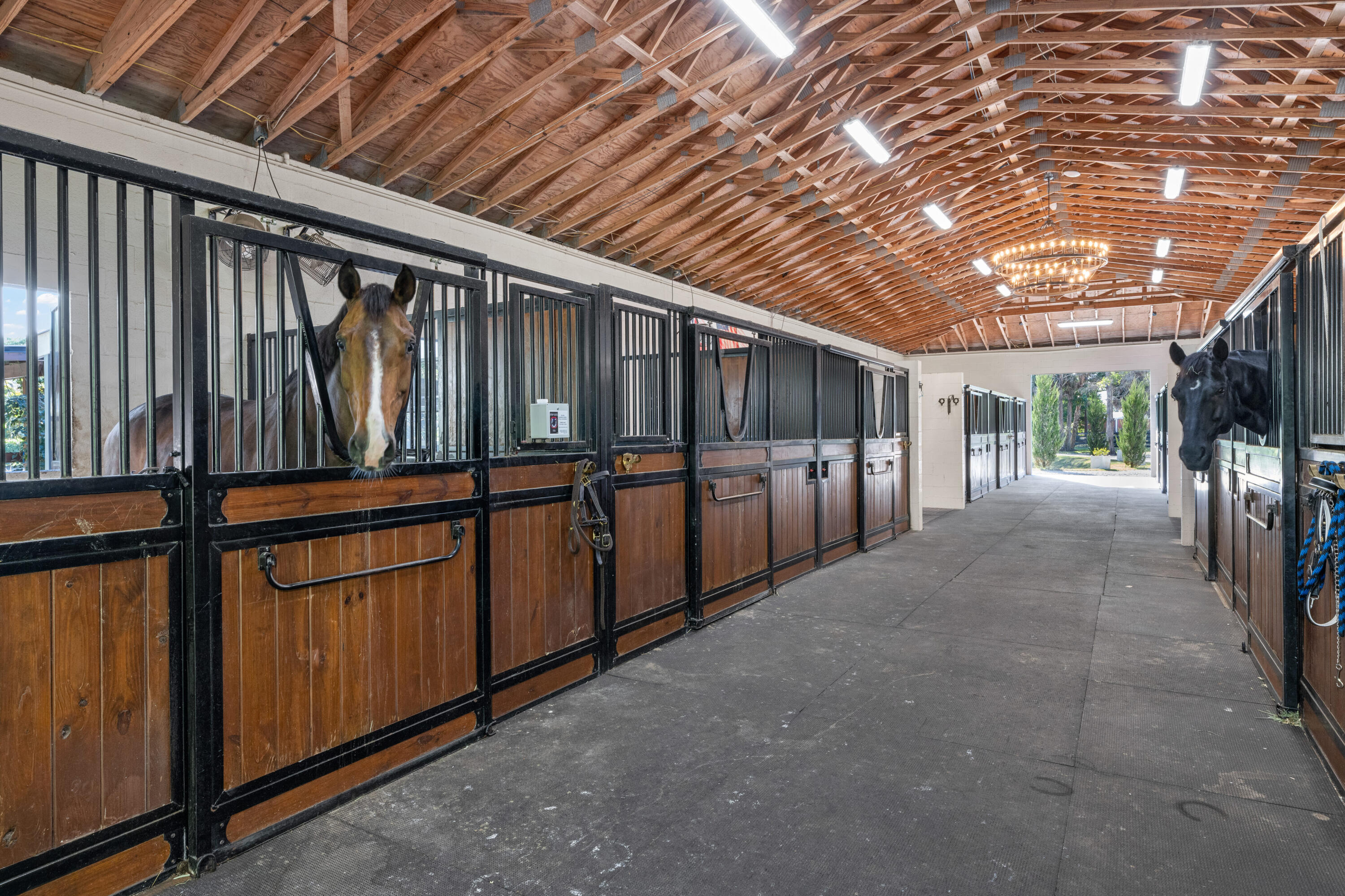 15161 Collecting Canal Road Property Photo 7