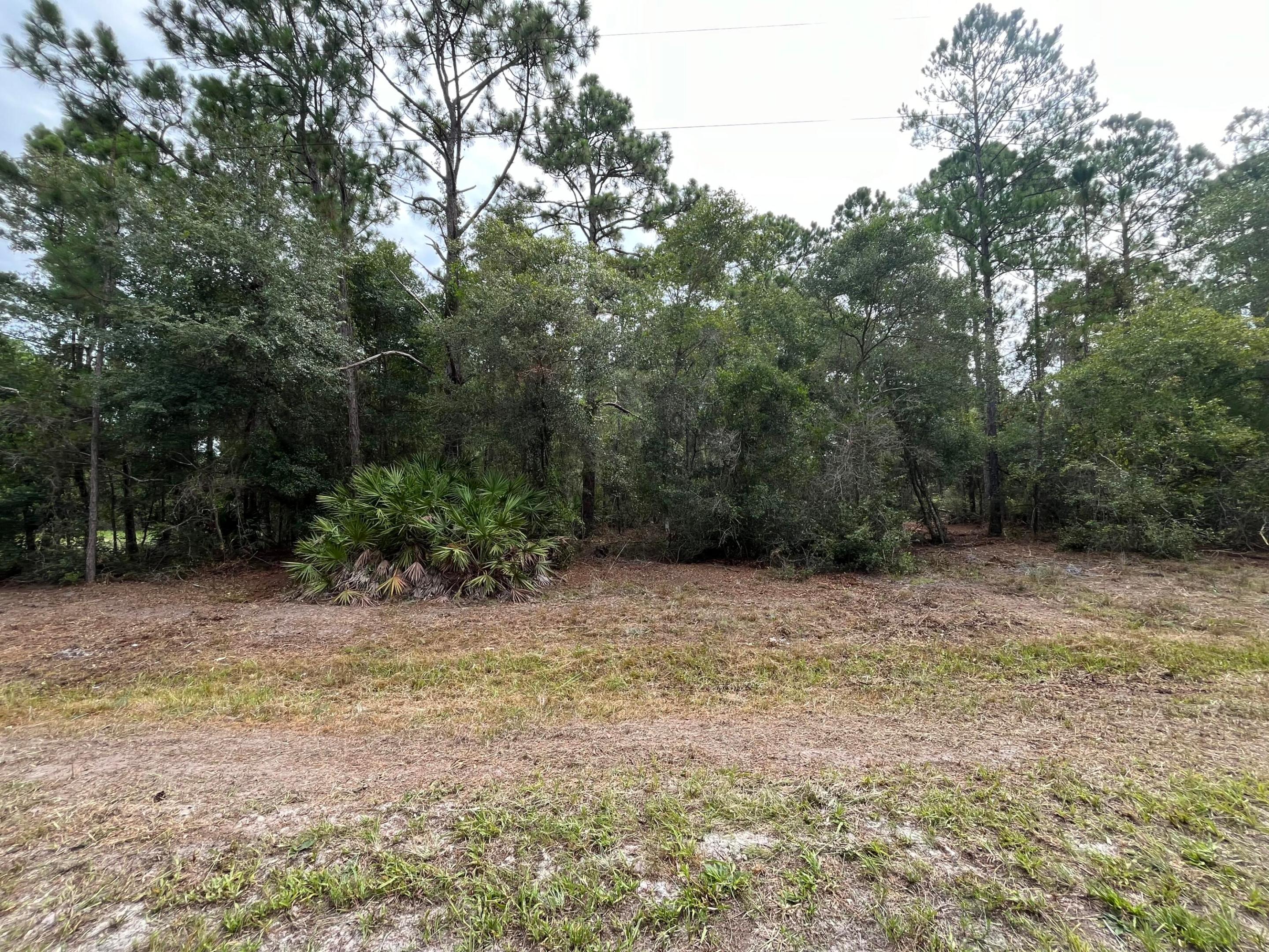 124 Glenside Street Property Photo 5