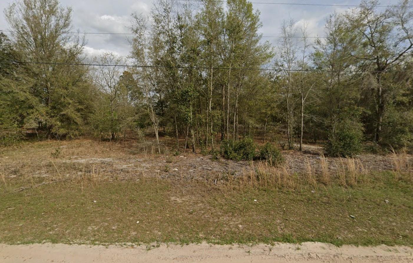 Tbd Marion Avenue Property Photo 1
