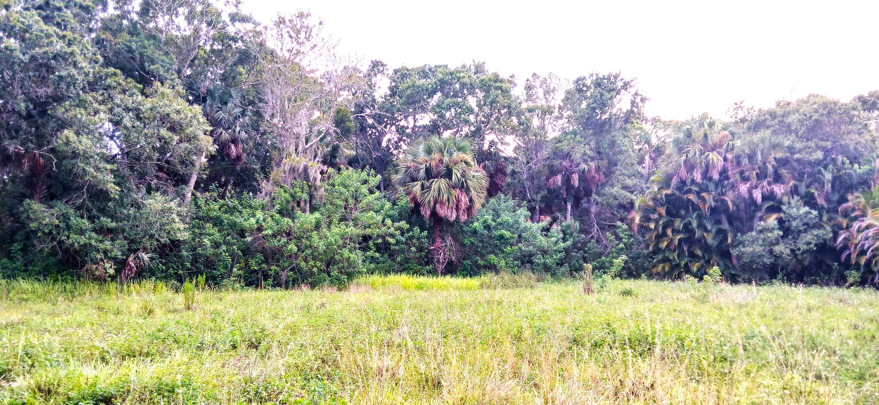 0000 S Us-1 Property Photo 1
