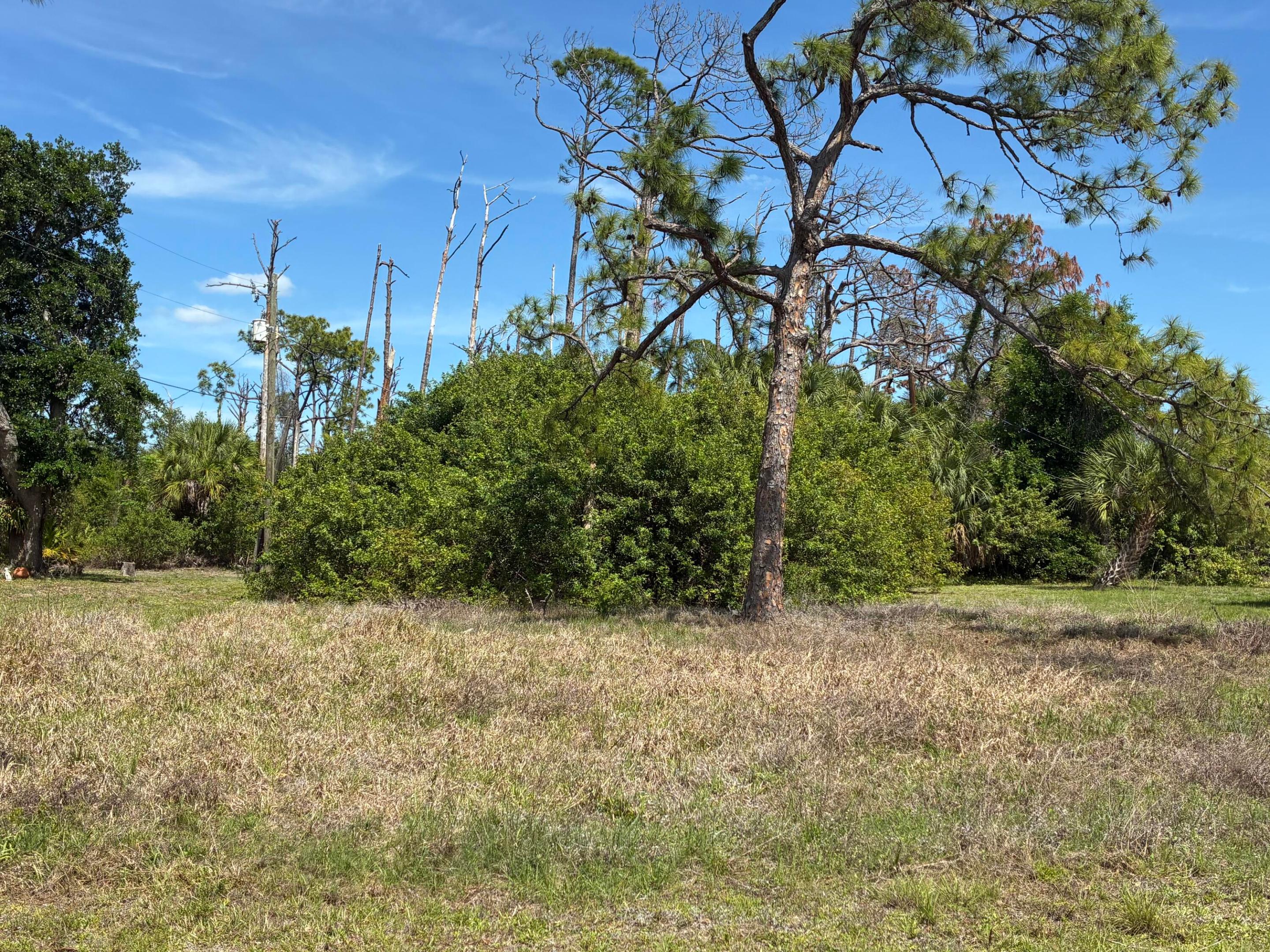 480 Longley Drive Property Photo 1