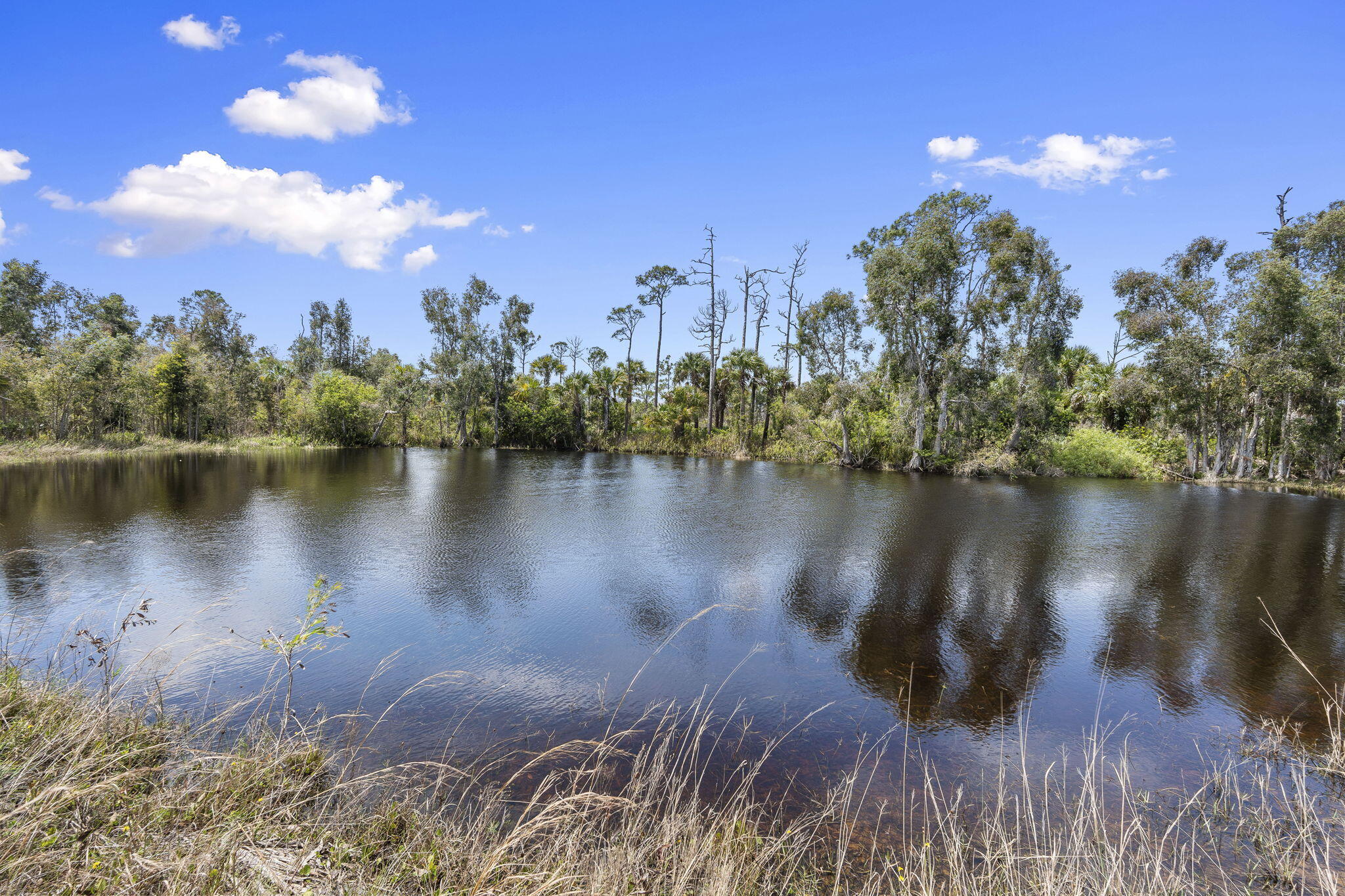 2565 Dyer Road Property Photo 17