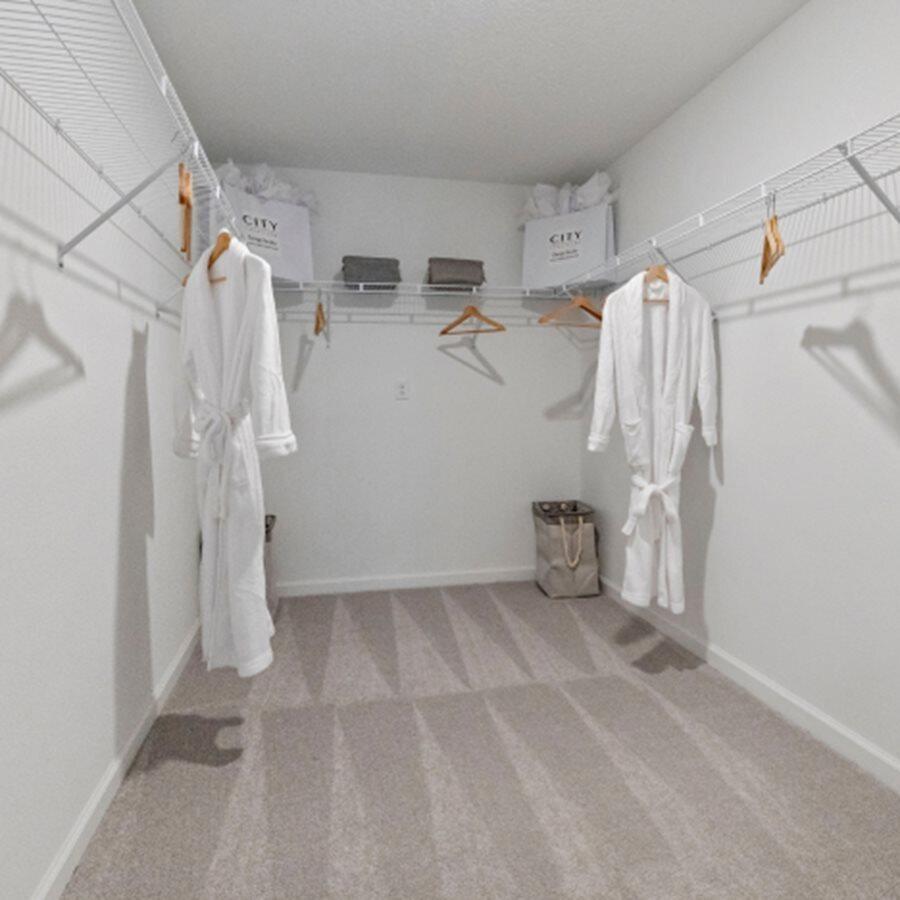 3202 Spanish Cedar Place Property Photo 11
