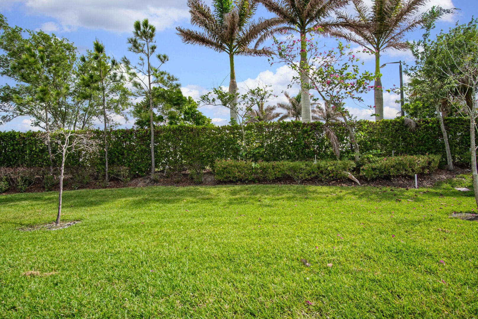 11893 Sw Lyra Drive Property Photo 18