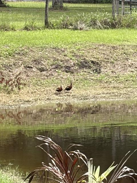 6289 S Header Canal Road Property Photo 25