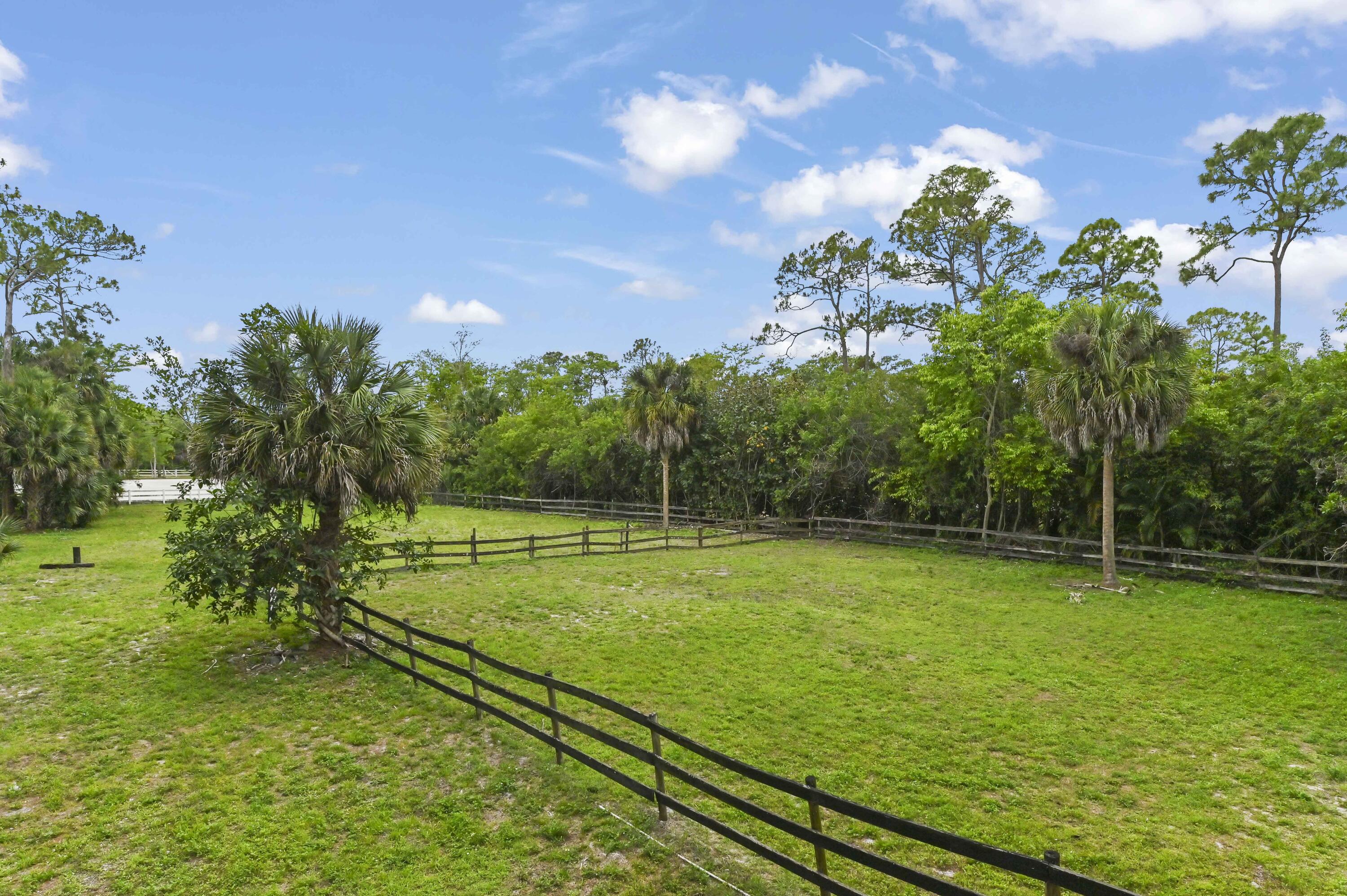 1339 Gallop Drive Property Photo 48