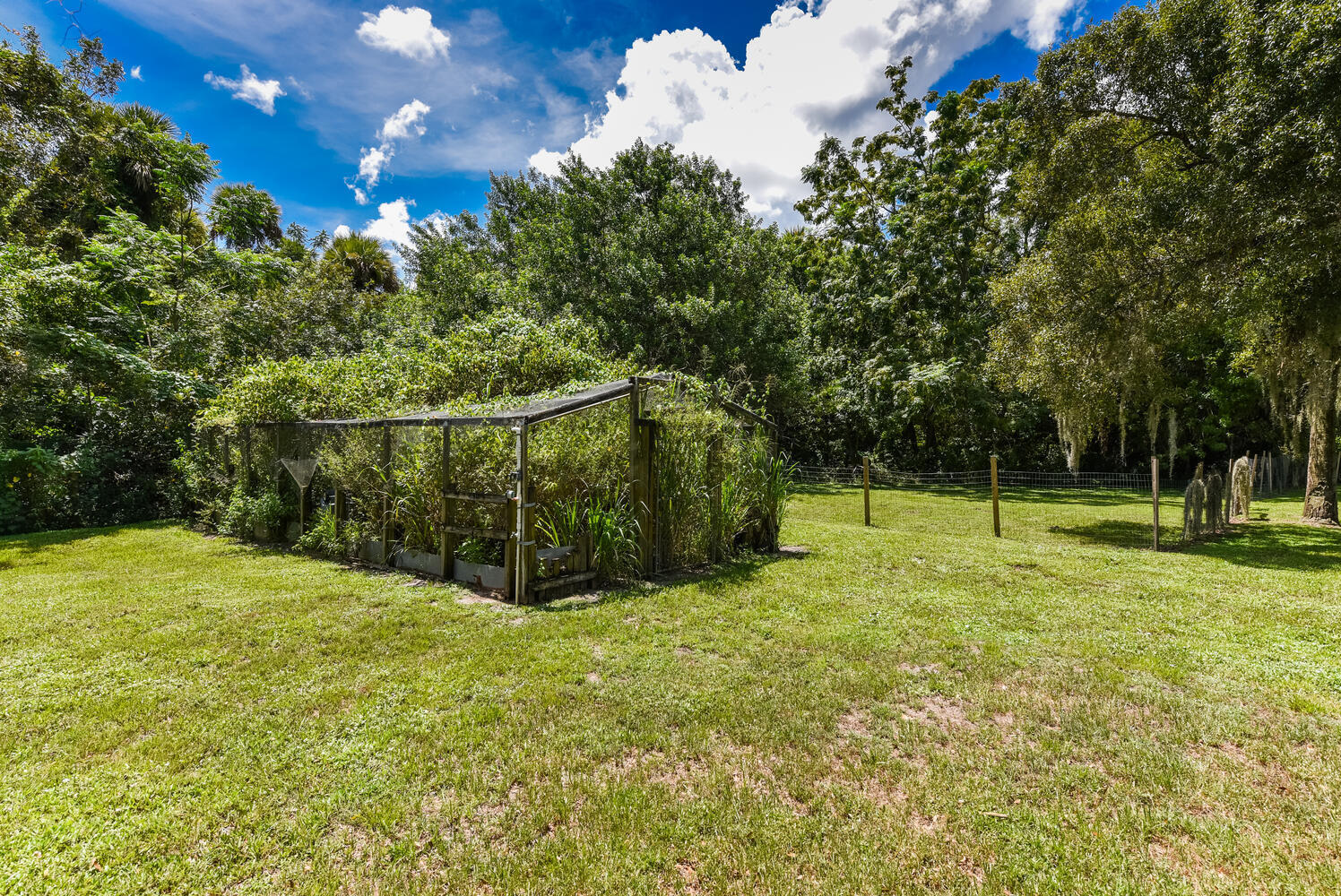 3646 S Jenkins Road Property Photo 25