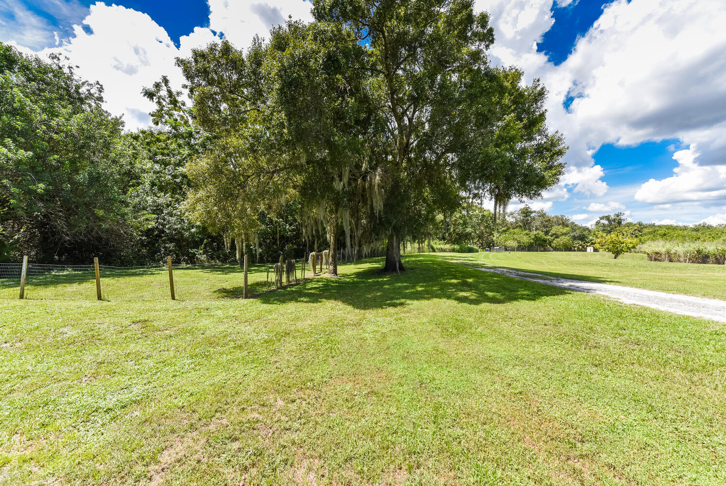 3646 S Jenkins Road Property Photo 26