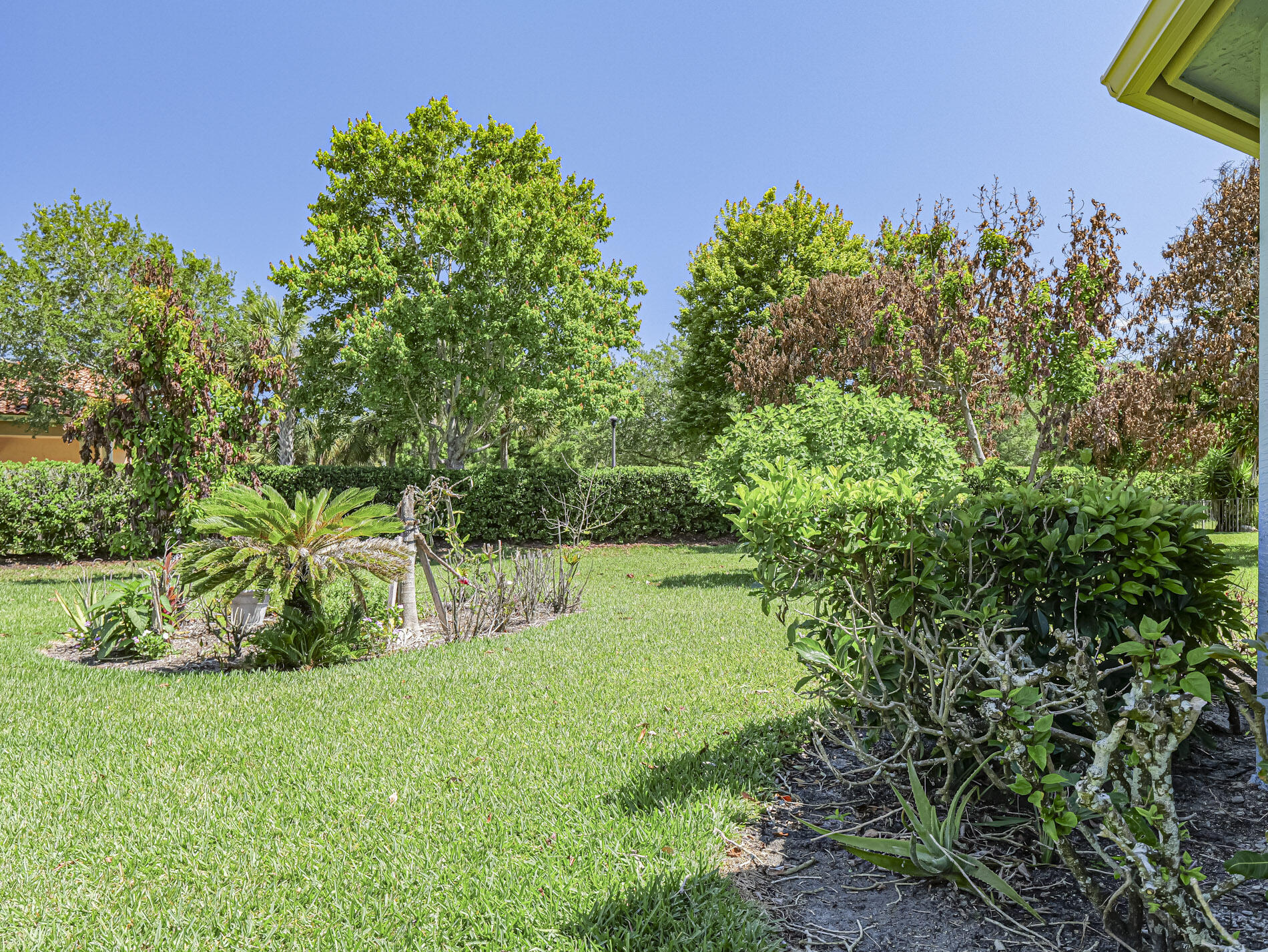 5561 57th Way Property Photo 24