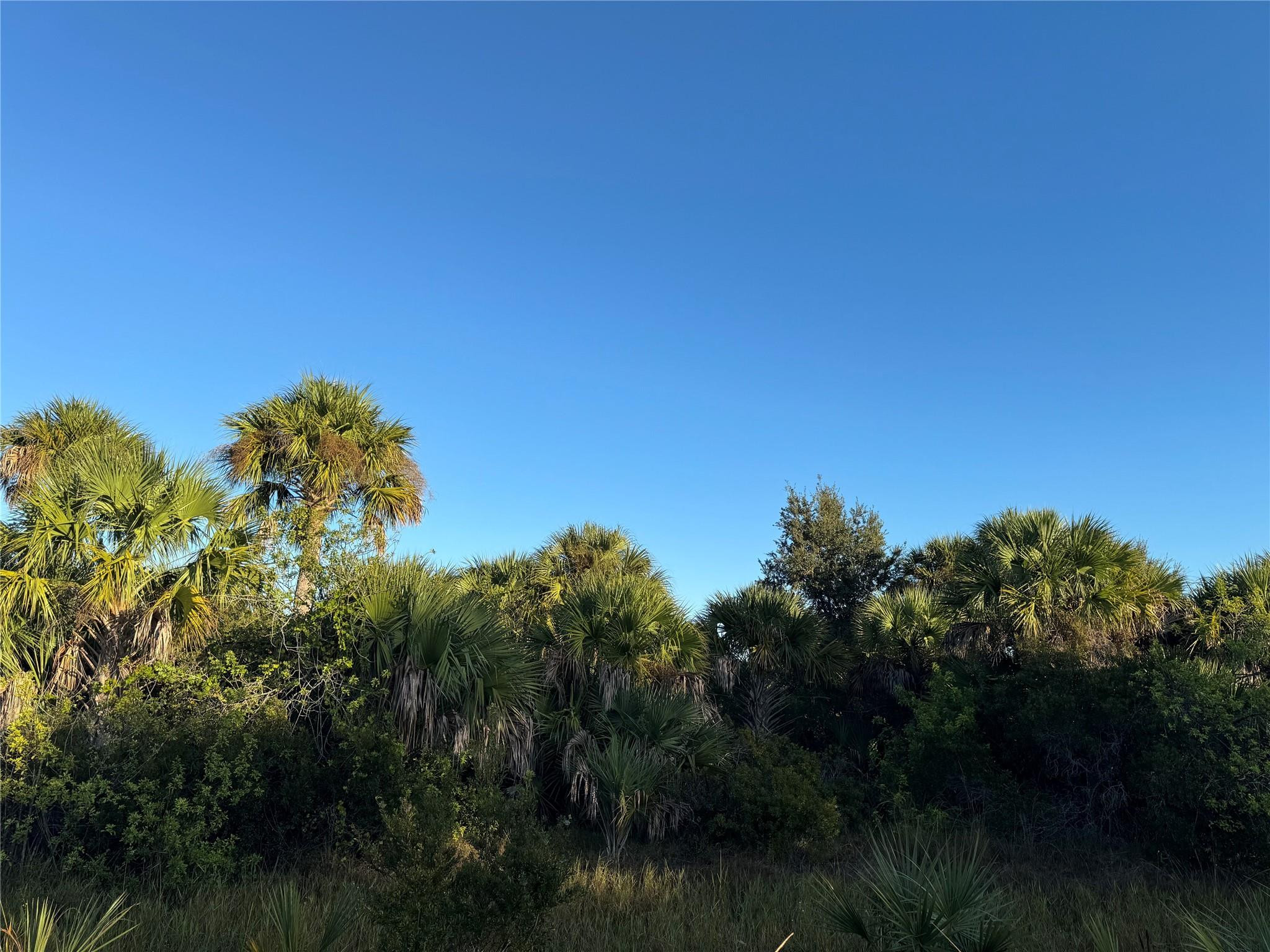 2025 Cabbage Lane Property Photo 1