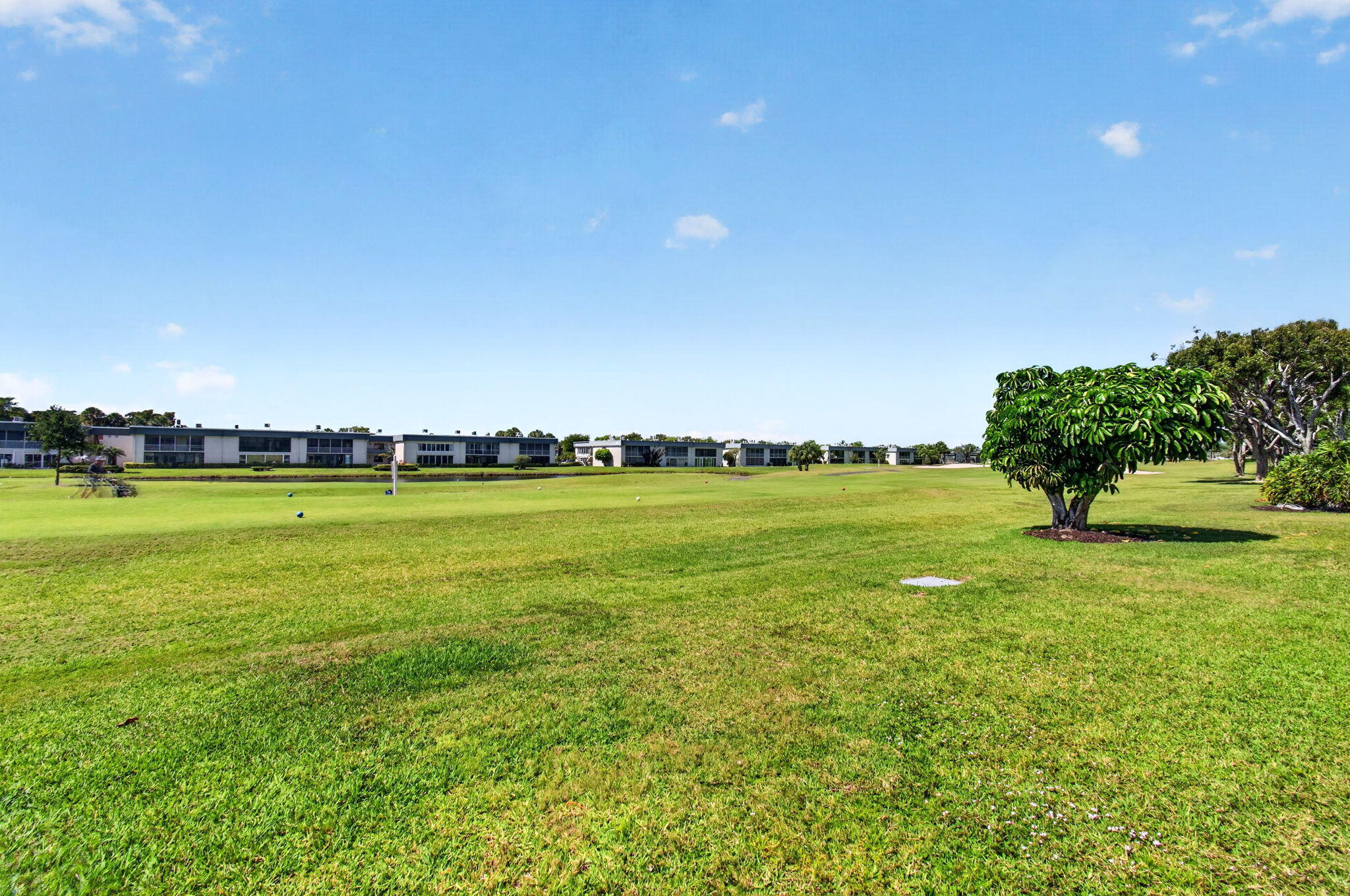 167 Normandy D Property Photo 35